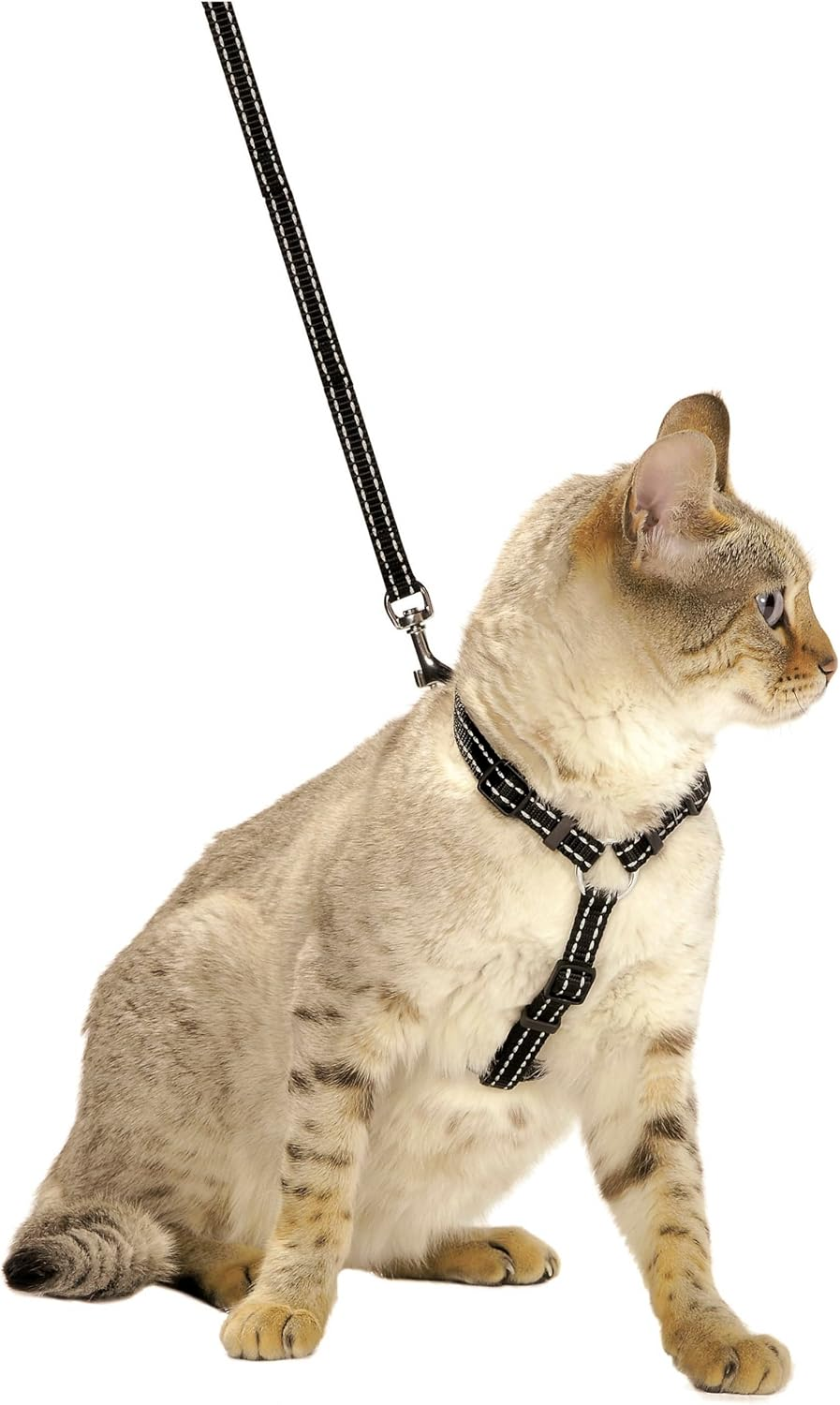 Bobby Safe - Cat Harness and Lead - Escape Protection - Reflective Resistant - Turquoise - 25-38 X 10 Cm - Fuchsia image number 2