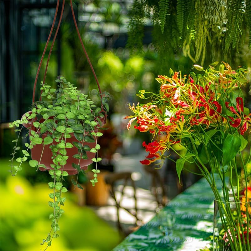 Yardwe 8 Sets Chlorophytum Pot Pots Chlorophytum Flowerpot Hanging Plant Pots Hanging Plant Basket Hanging Baskets for Plants Hanging Planter Outdoor Hanging Pots Plastic image number 5