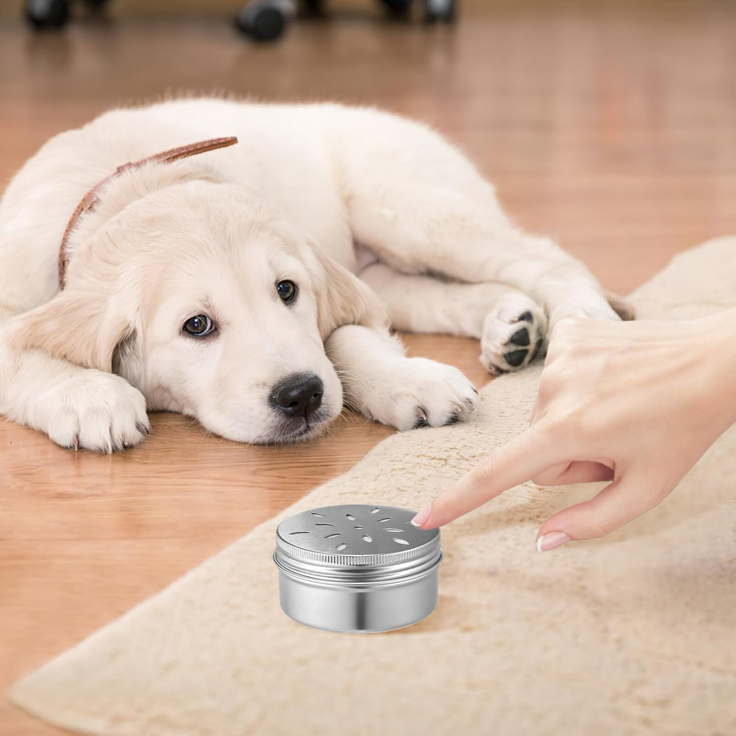 Mipcase Pack of 10 Dog Fragrance Training Box: Dog Fragrance Holder Dog Nose Metal Container Aluminium Agility Training Equipment Dog Fragrance Work Cans with Magnetic Dots image number 6