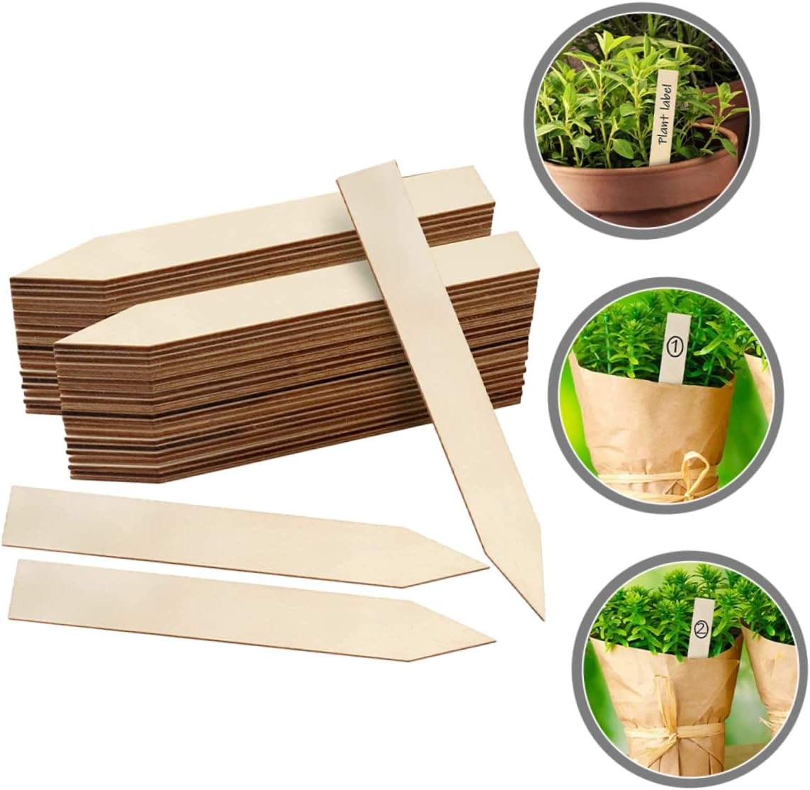 30Pcs Wooden Garden Markers Blank Plant Labels 2X15Cm Linden Wood Plant Name Tags for Flower Beds Succulent Garden Stakes for Outdoor Gardening image number 6