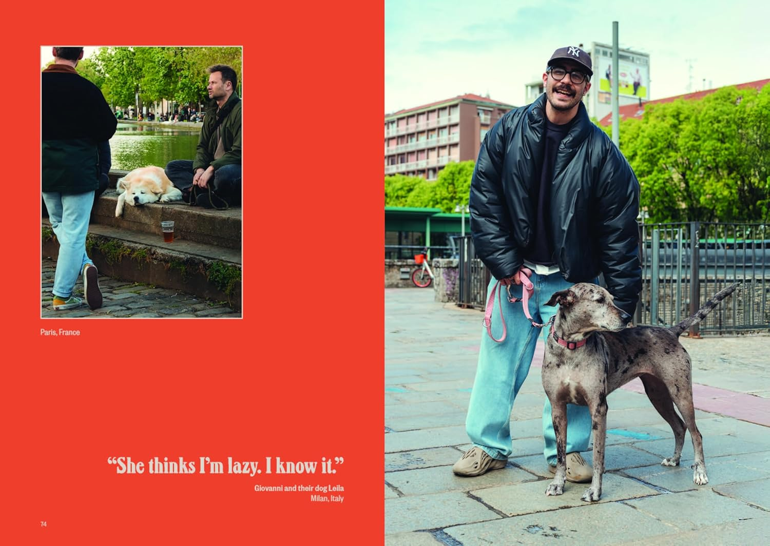 Dog&rsquo;S Best Friend: a Portrait of an Unbreakable Bond image number 4