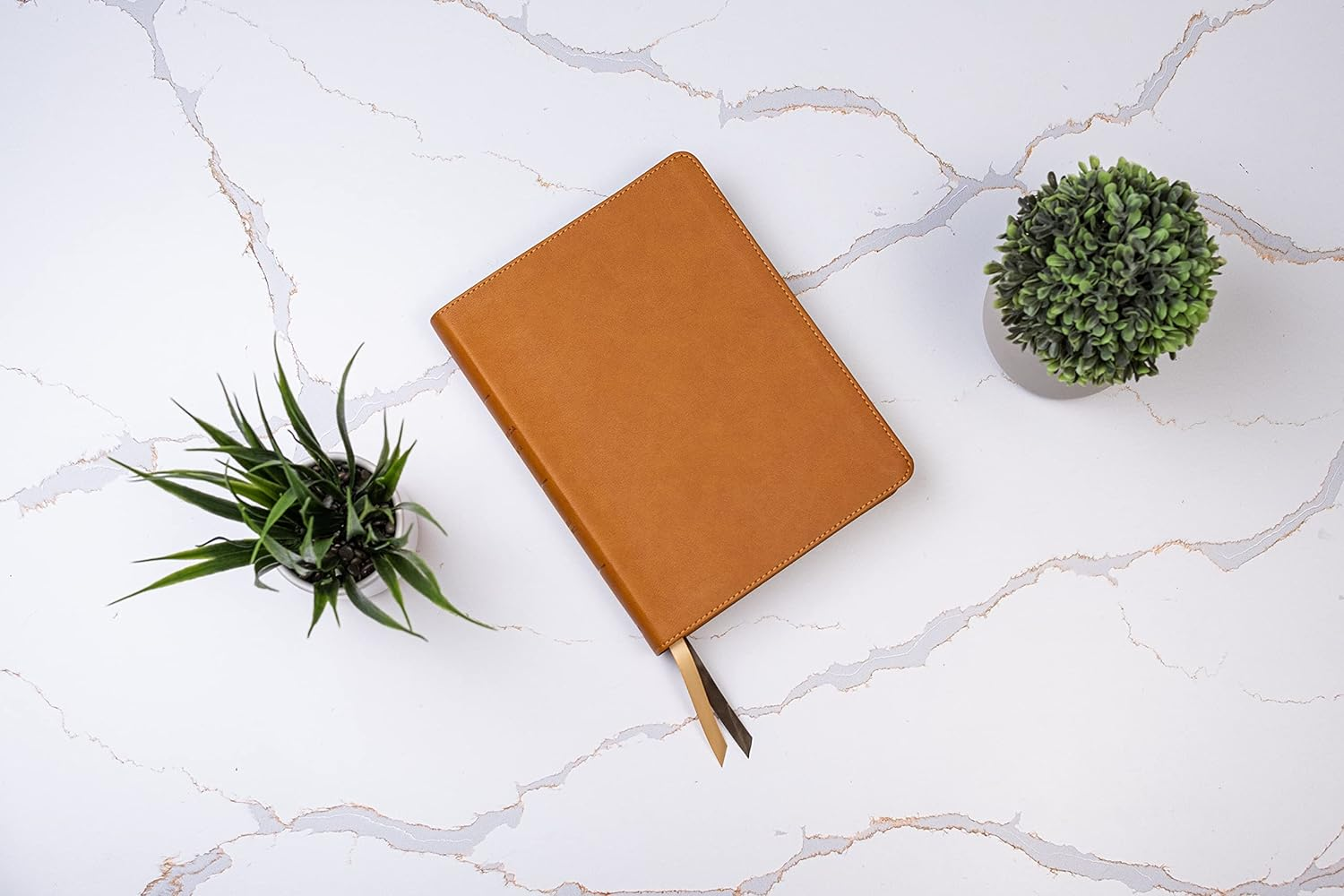 Rvr 1960 Biblia Ilustrada De La Tierra Santa, Caf&eacute; S&iacute;mil Piel Con &Iacute;ndice image number 4