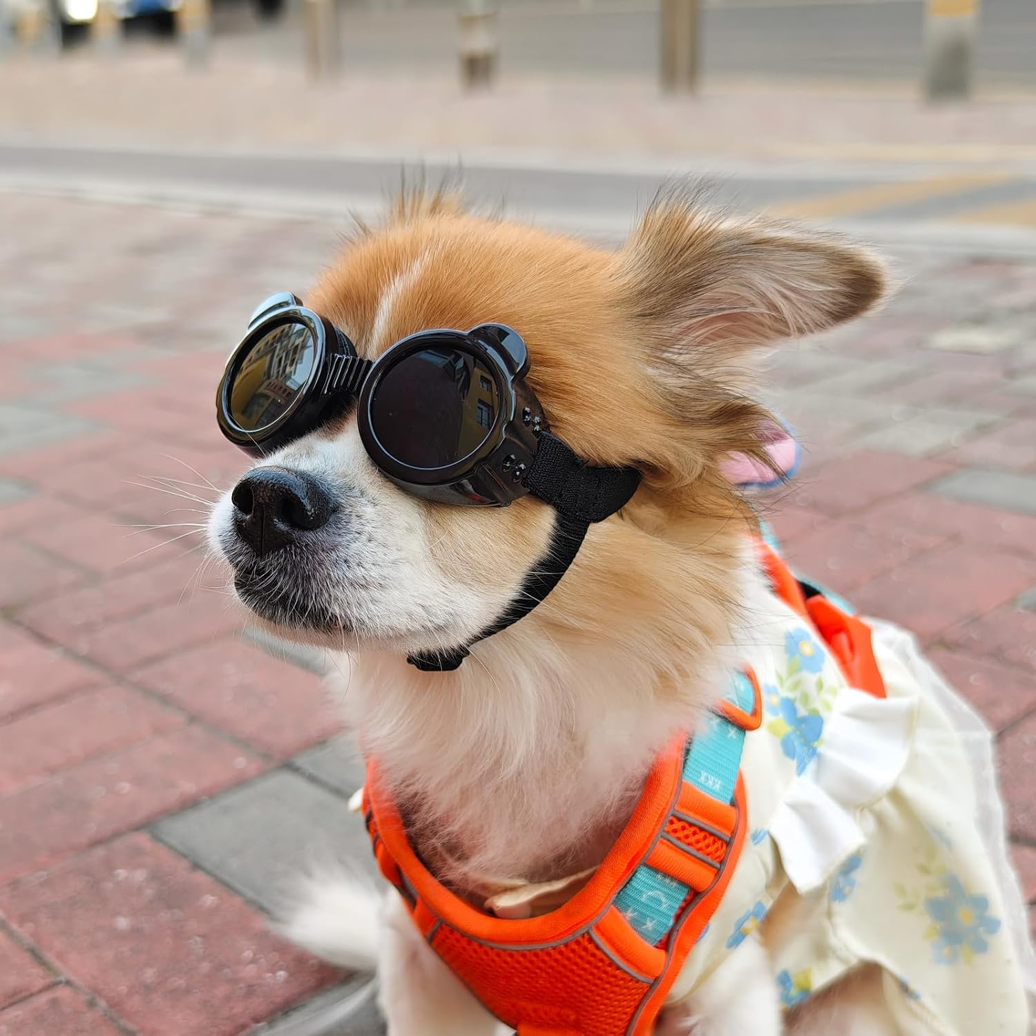 Enjoying Dog Sunglasses Small Breed, UV Protection Goggles for Dogs Small Breed, Outdoor Doggy Goggles, Anti-Fog/Wind/Dustproof Dog Glasses for Small Dogs Eye Protective, Panda Black - Grey image number 7