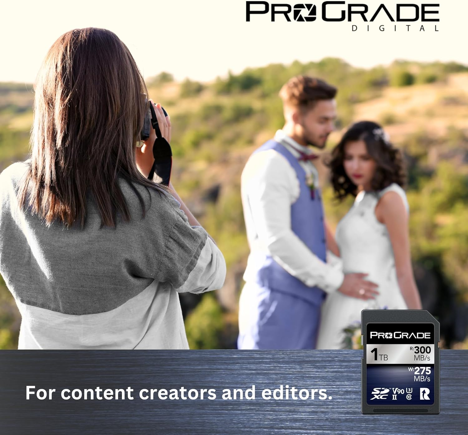 Prograde Digital SDXC UHS-II V90 Iridium Memory Card (1TB) image number 2