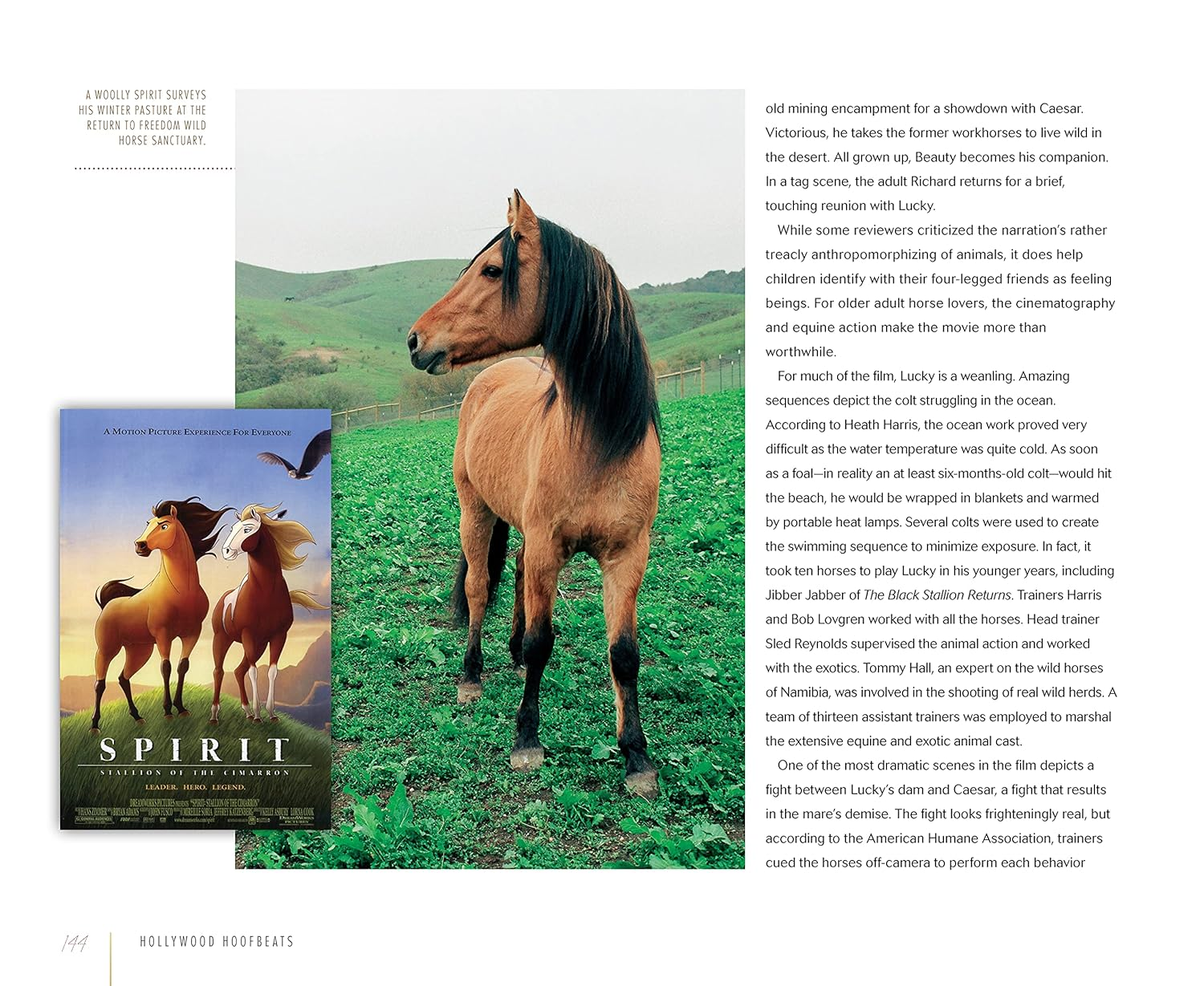 Hollywood Hoofbeats: the Fascinating Story of Horses in Movies and Television image number 5