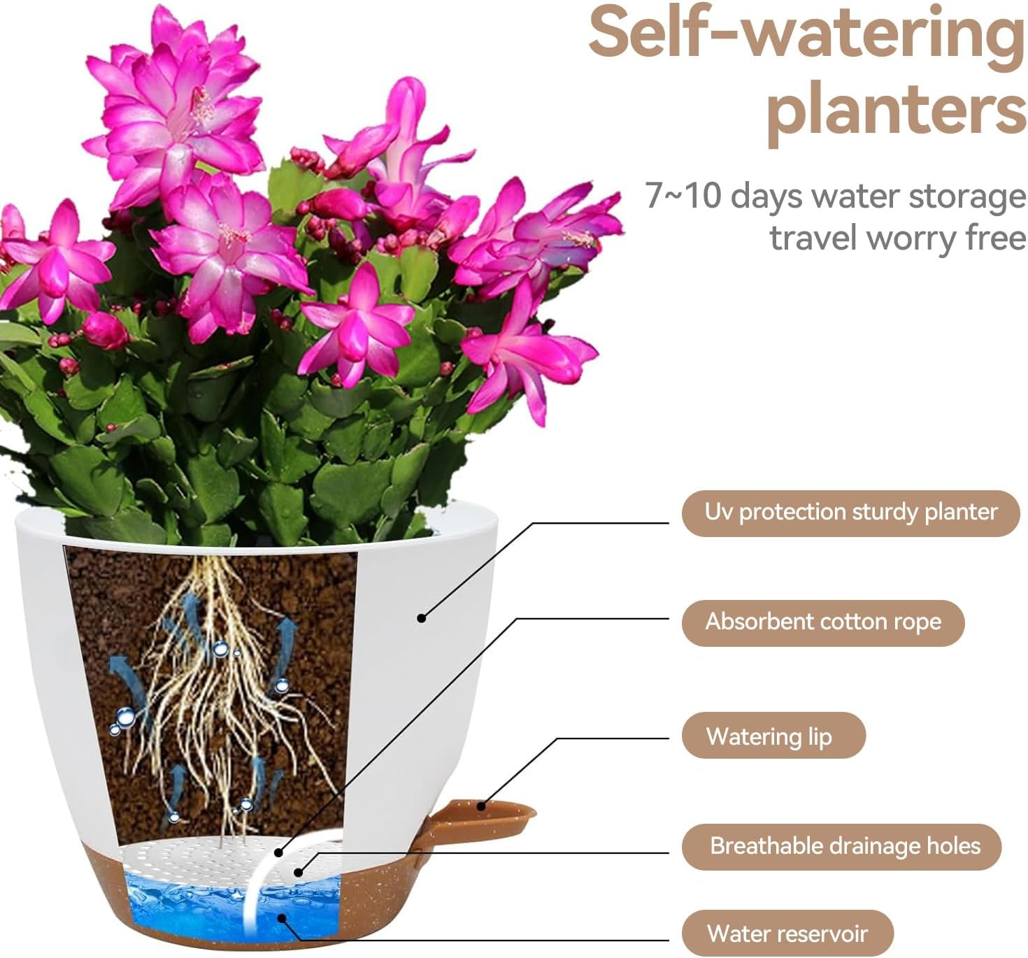 6 Pack Plant Pots, 8/7/6.5/6/5.5/5 Inch Self Watering Plant Pots with Drainage Holes and Saucers Modern Decorative Plastic Pots for All House Plants - White image number 5