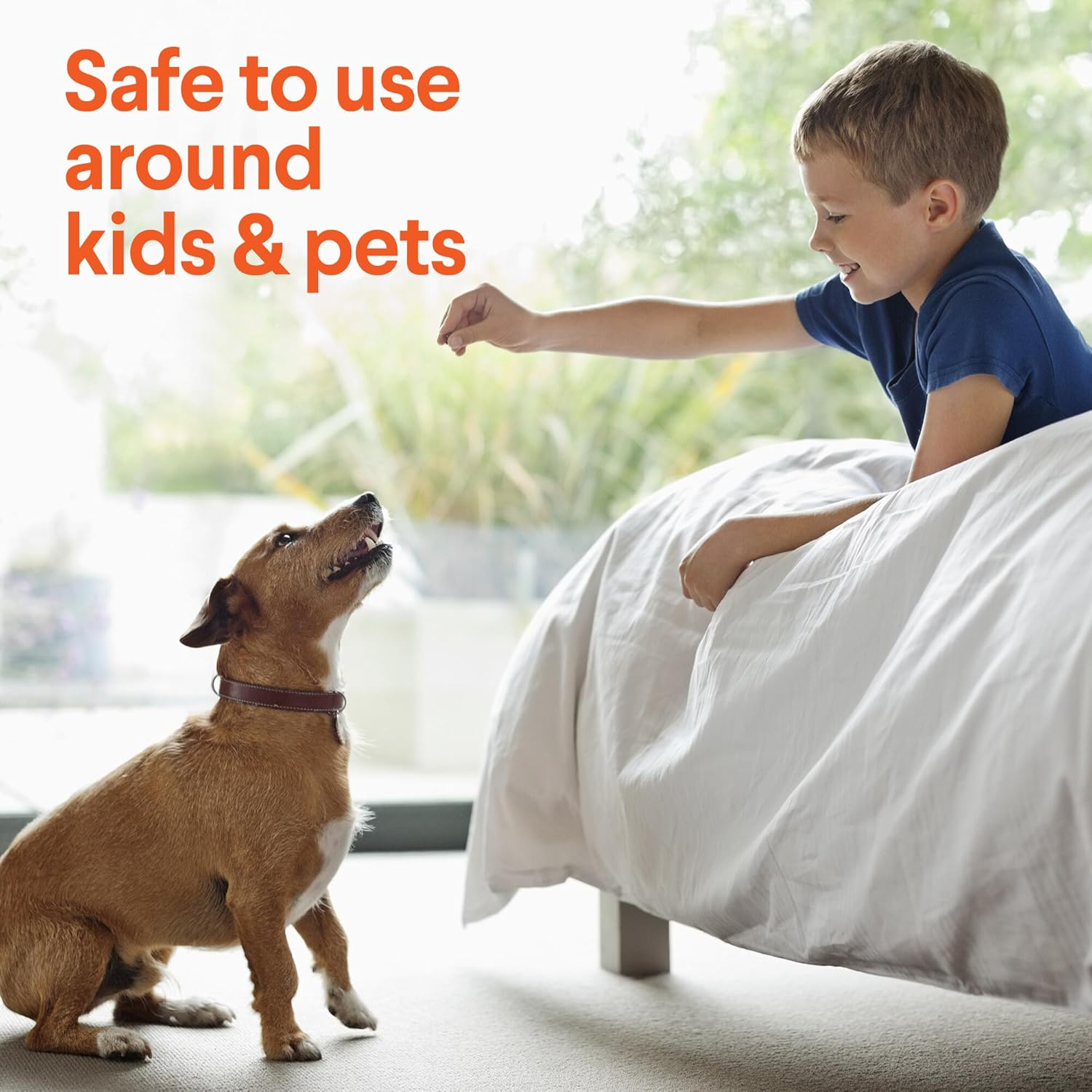 Clorox Urine Remover for Stains and Odors, Spray Bottle, 32 Ounces