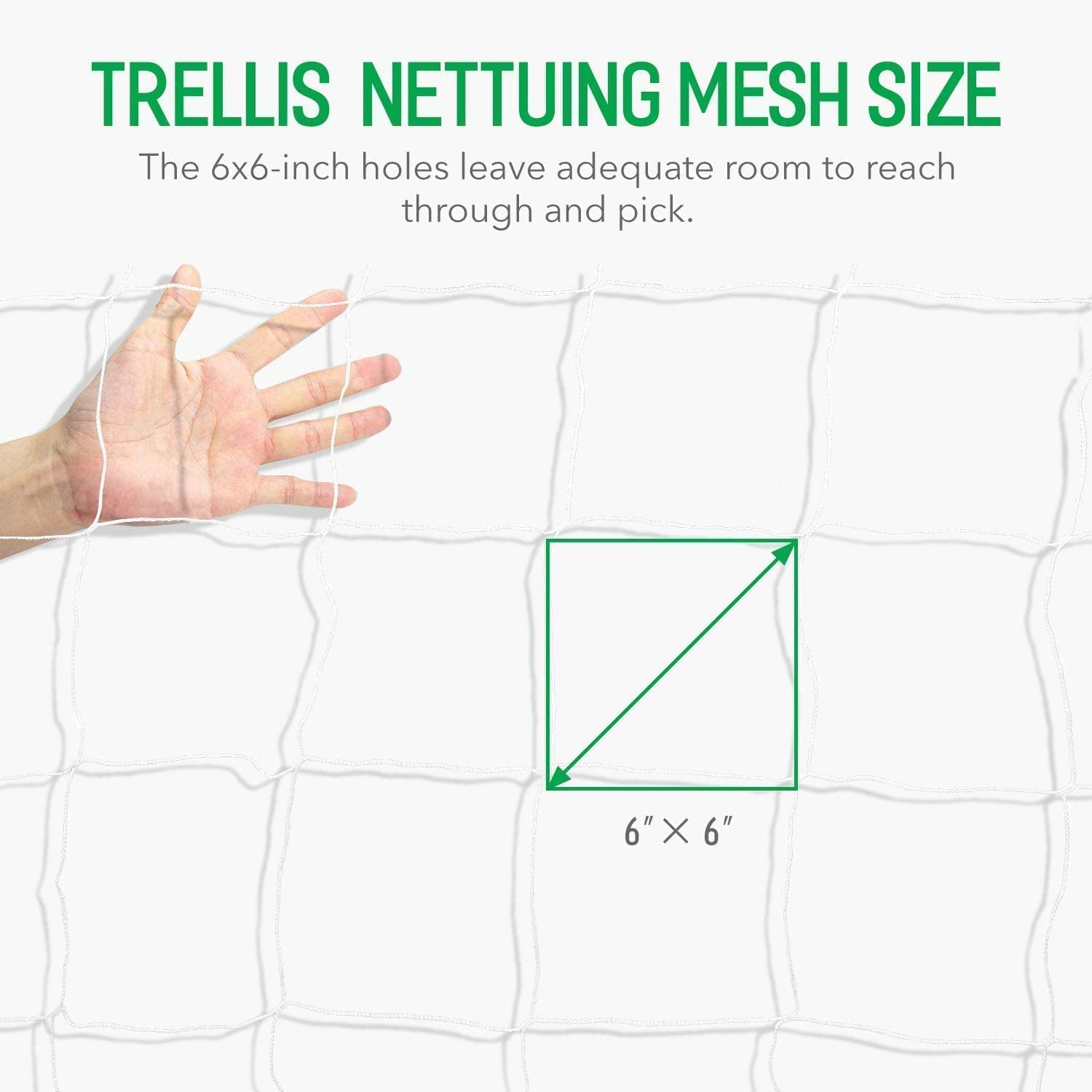 THJOPOKEEL Plant Support Netting 5X30Ft, Heavy-Duty Polyester Grow Net for Climbing Plants, Indoor & Outdoor, save Garden Space image number 2