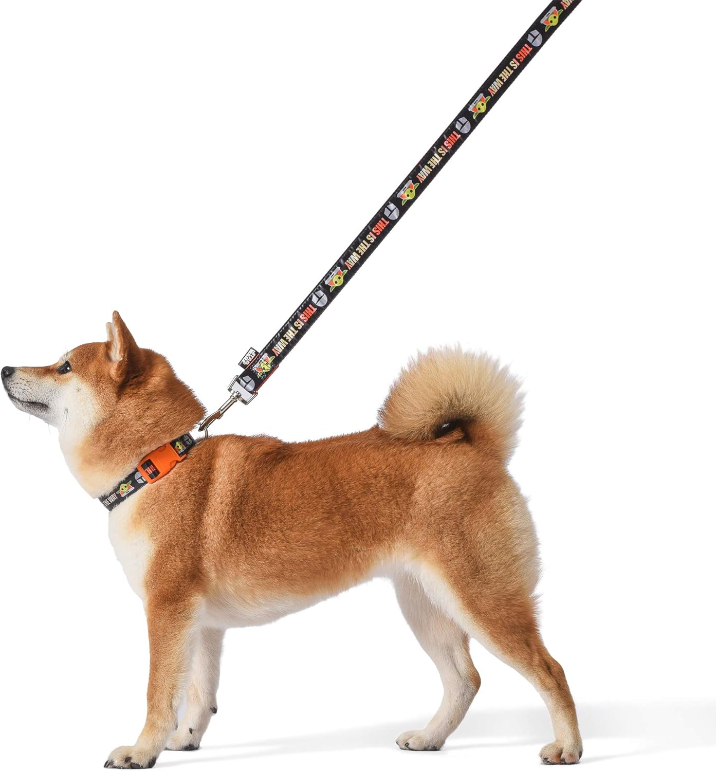 Star Wars for Pets the Mandalorian This Is the Way 6 Foot Dog Leash | Orange 6 Ft Dog Leash Easily Attaches to Any Dog Collar or Harness | Mandalorian Nylon Dog Leash 6 Feet for All Dogs image number 5