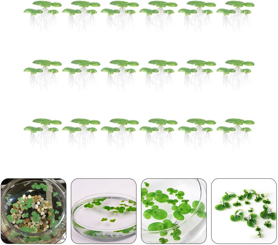Housoutil 54Pcs Fake Duckweed Aquarium Plants Lifelike Floating Decorations for Fish Tank Premium Lightweight for Natural Aquatic Landscapes Fish image number 3