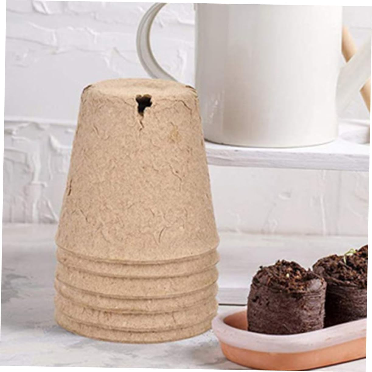 YARNOW 50Pcs round Paper Pulp Pots for Germination Planting Baskets Drainage Nursery Containers for Indoor and Outdoor Gardening image number 2