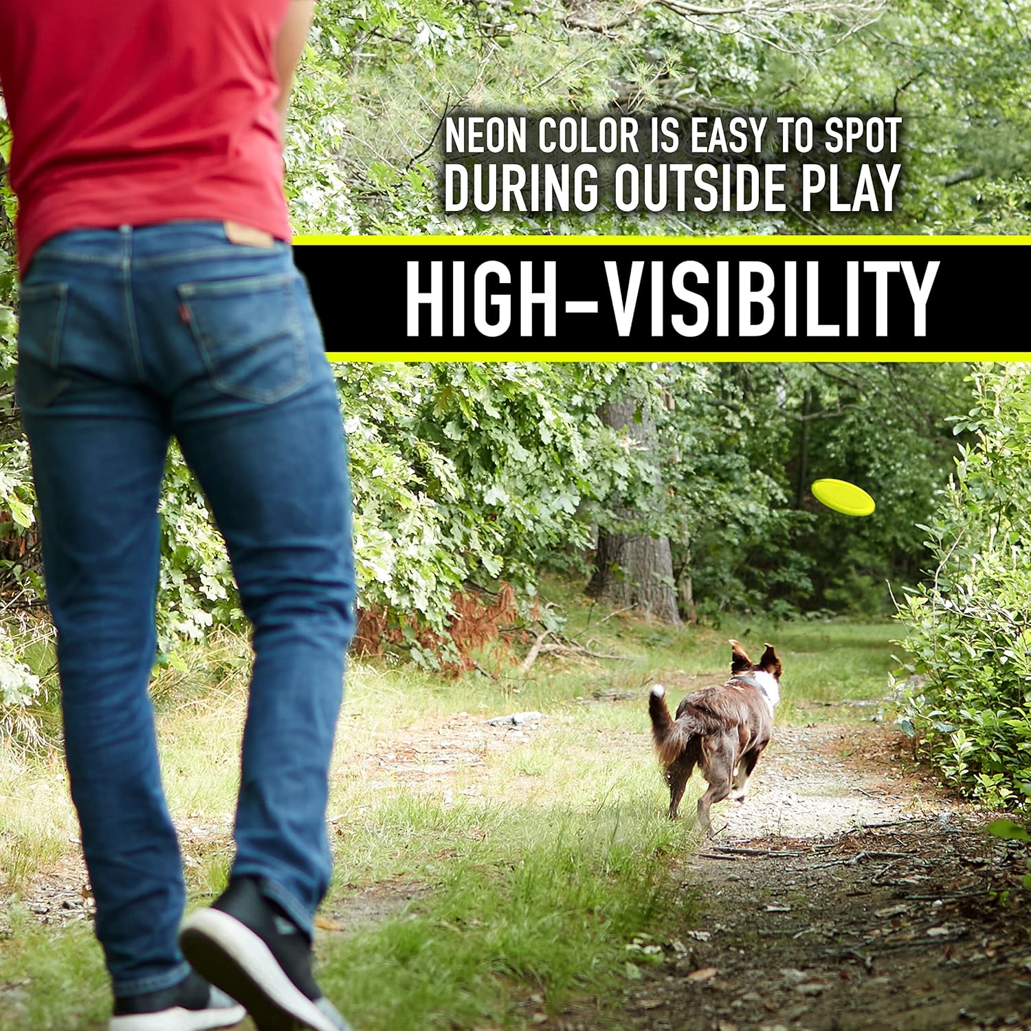 Franklin Pet Supply Dogs Flying Fetch Discs - 8.75" Inch Plastic Toy Discs for Fetch + Training - Discs for Small, Medium + Large Dogs - RSF Disc Launcher Compatible - 3 Pack, Yellow (90081Z) image number 4