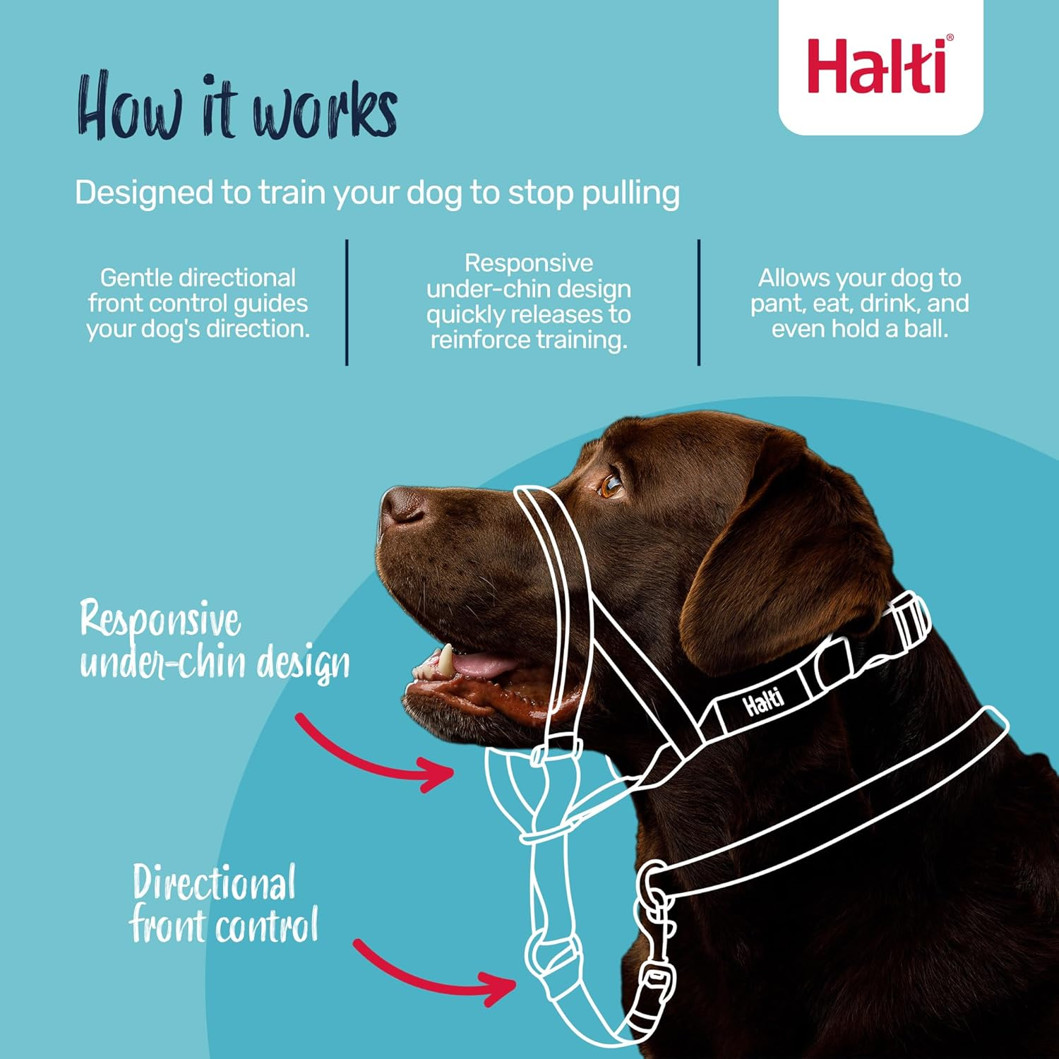 HALTI Headcollar Size 5, Black & HALTI Training Leash Size Large, Black Combination Pack - Stop Your Dog Pulling on the Leash. Adjustable, Lightweight with Padded Nose Band. Suitable for Large Dogs image number 1
