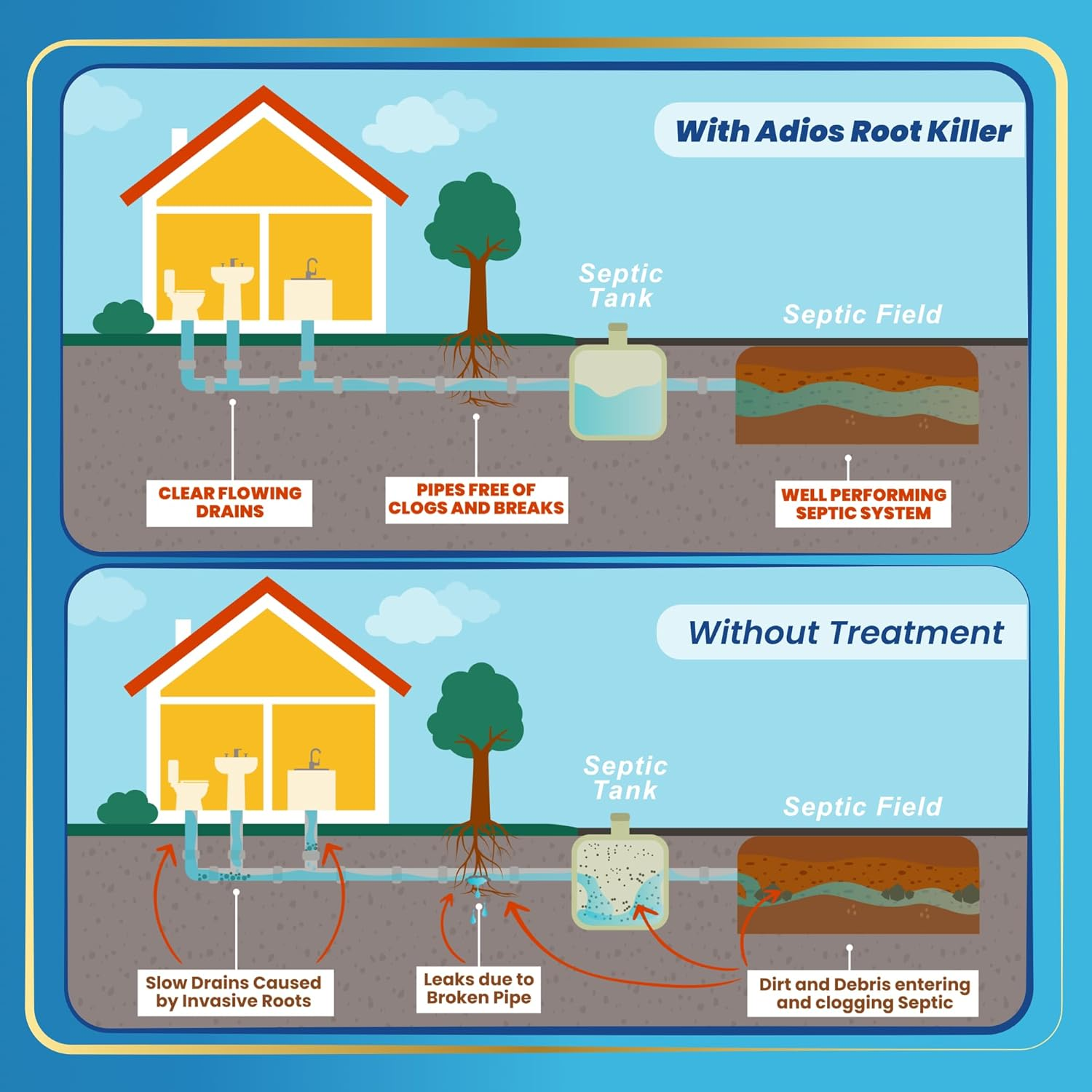 Adios! Sewer and Septic Root Killer for Trees and Shrubs, Copper Sulfate Formula Protects Sewer Pipes, Drains and Septic Tanks from Invasive Root Growth (2 Pound) image number 6