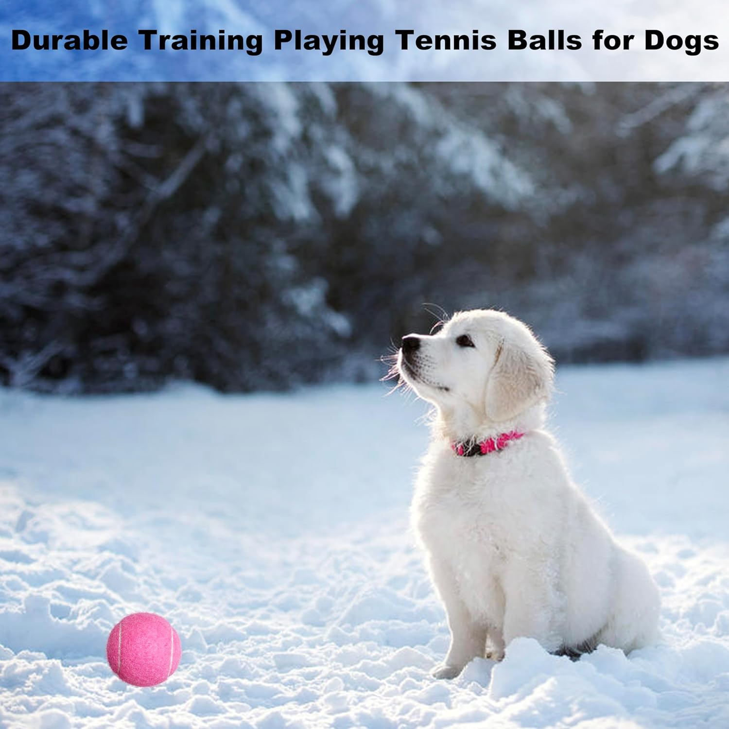 Tennis Balls, 3 Pack Practice Tennis Balls for Beginners, Training Playing Tennis Balls for Pet Dogs image number 5
