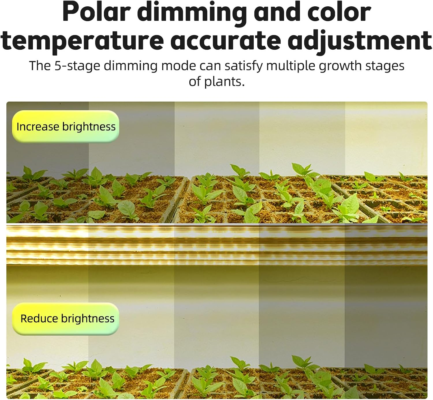 LED Plant Grow Light Strips 6.2W 126LED 4000K 169.2Lm Bright Grow Lamp with 8H/12H/16H Timer 5 Dimmable Brightness Growth Light for Green House Hydroponics Succulent 3 Bars image number 6