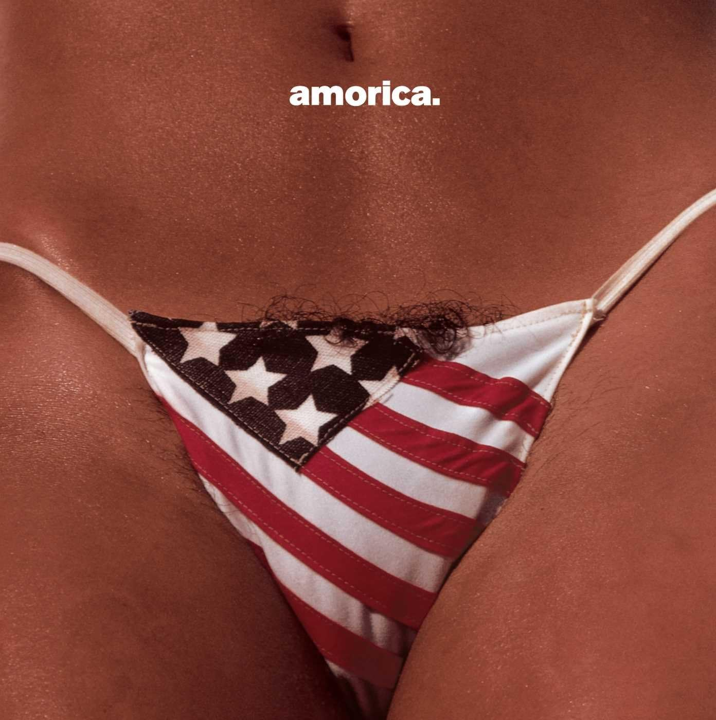 BLACK Crowes'S Amorica image number 1