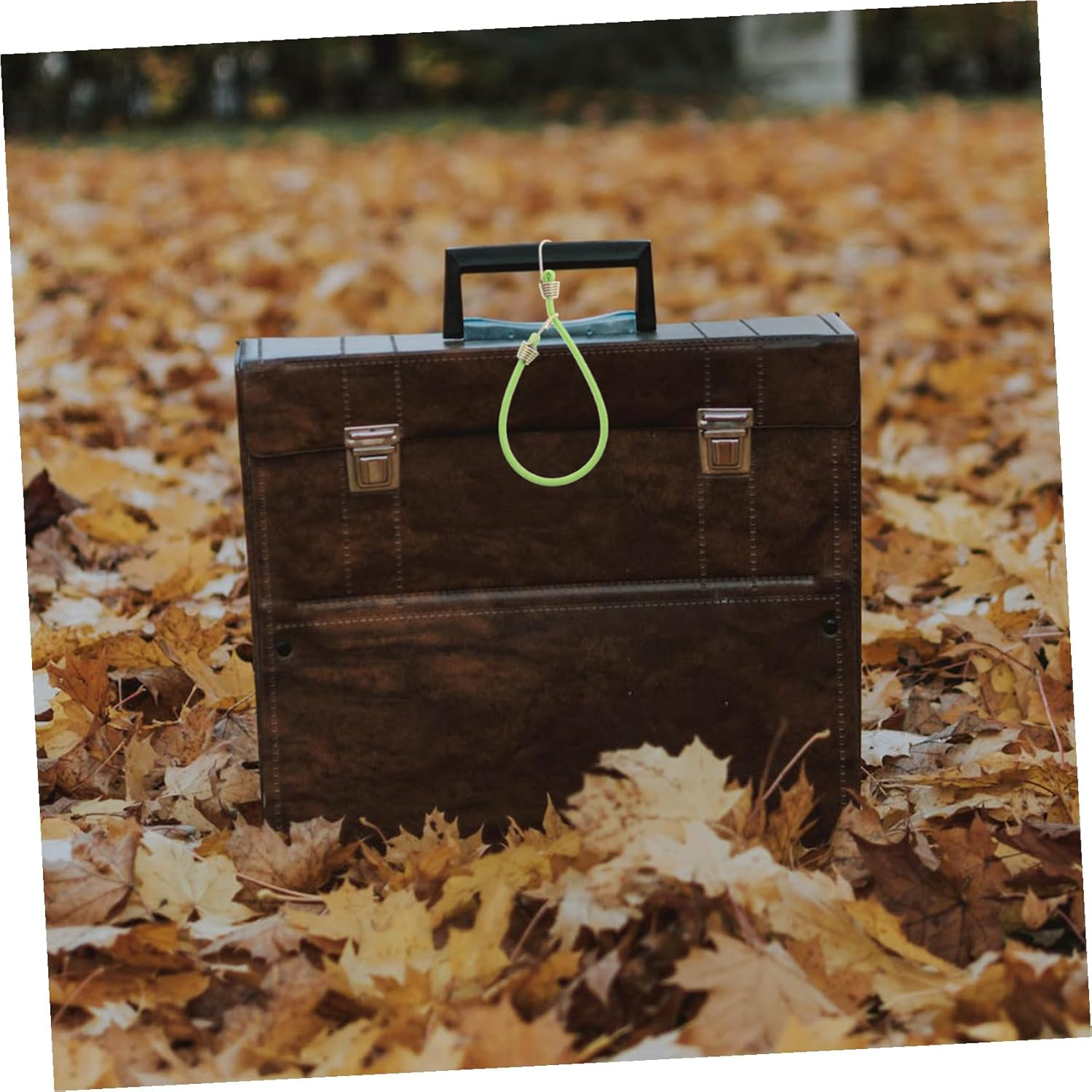 AKOOSY 10Pcs Mini Elastic Luggage Straps with Hooks, Short Stretchy Tie down Fasteners for Travel, Green 25Cm Bungee Cord Set for Suitcases and Camping image number 6