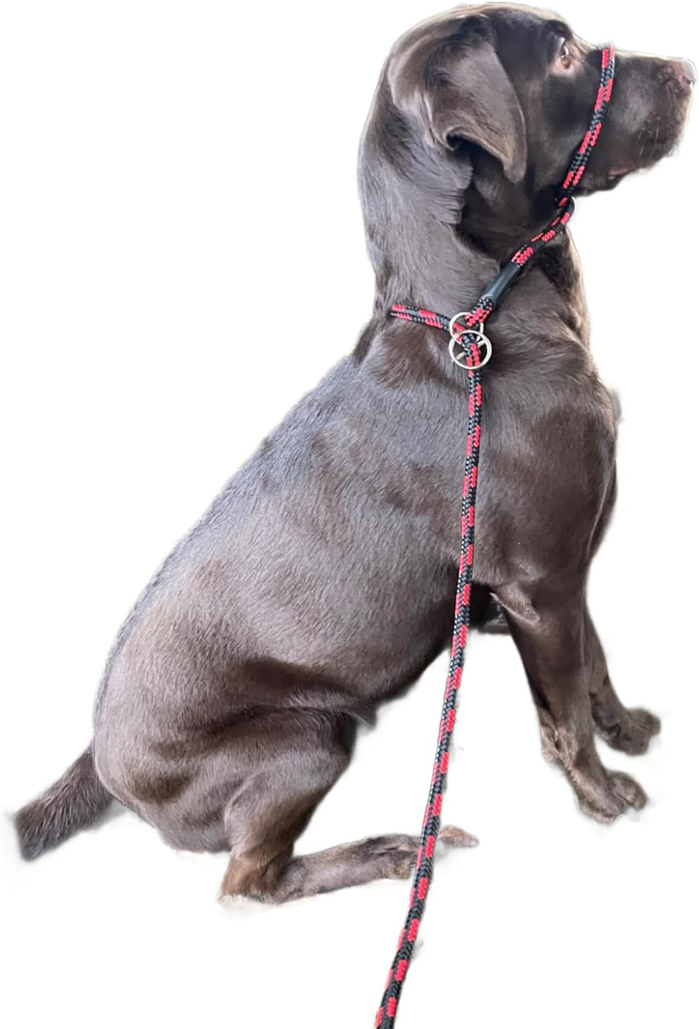 No More Pulling! anti Pull Lead Field Figure 8 / Halter/Head Collar One Size Fits All Super Soft Braided Nylon Comfortable Make Your Walks More Enjoyable -Instructions Included (Pink)