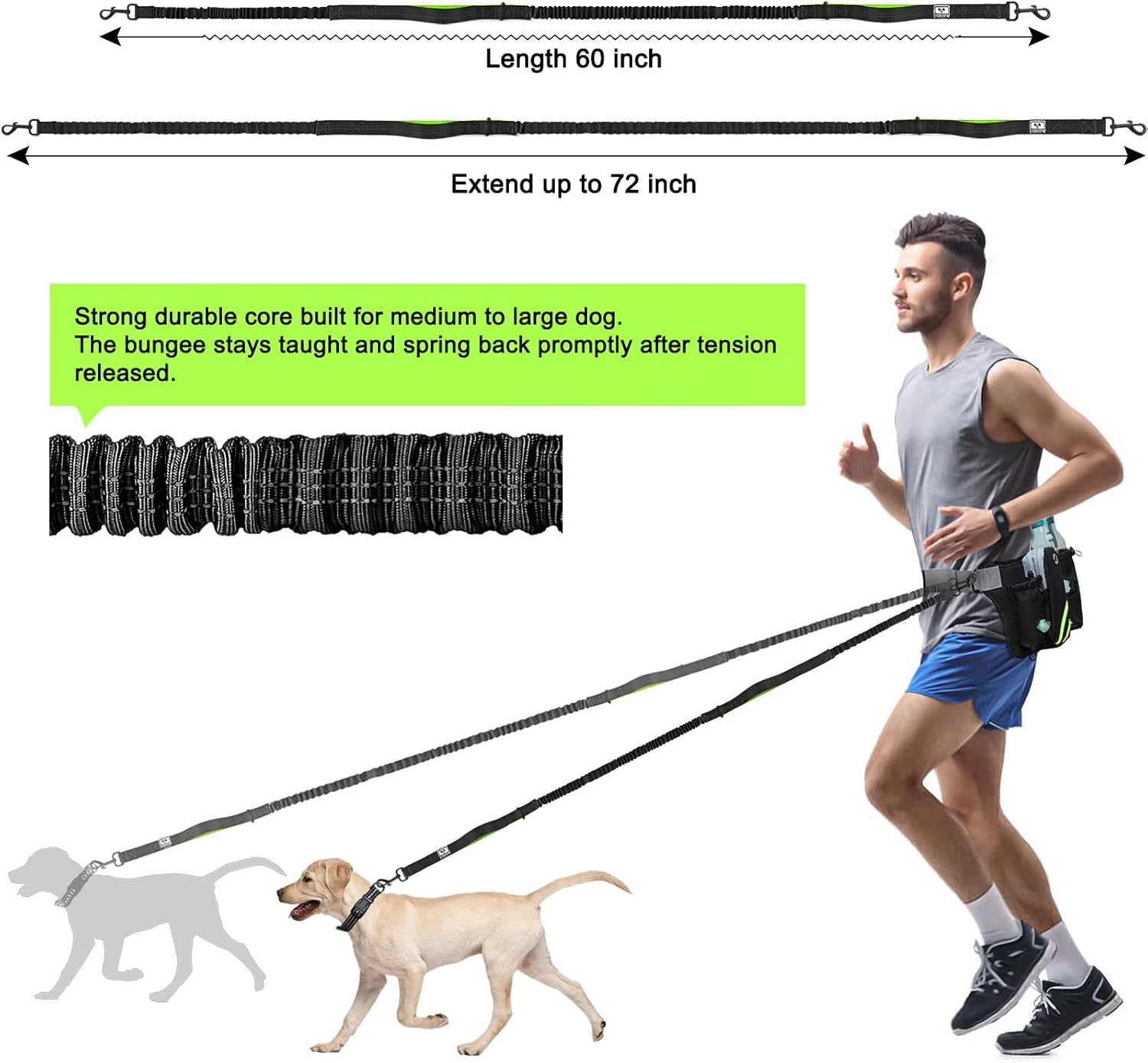 Shine HAI Retractable Hands Free Dog Leash with Dual Bungees for 2 Dogs, Adjustable Waist Belt, Reflective Stitching Leash for Running Walking Hiking Jogging Biking Black - Green MA-US22-DL image number 6