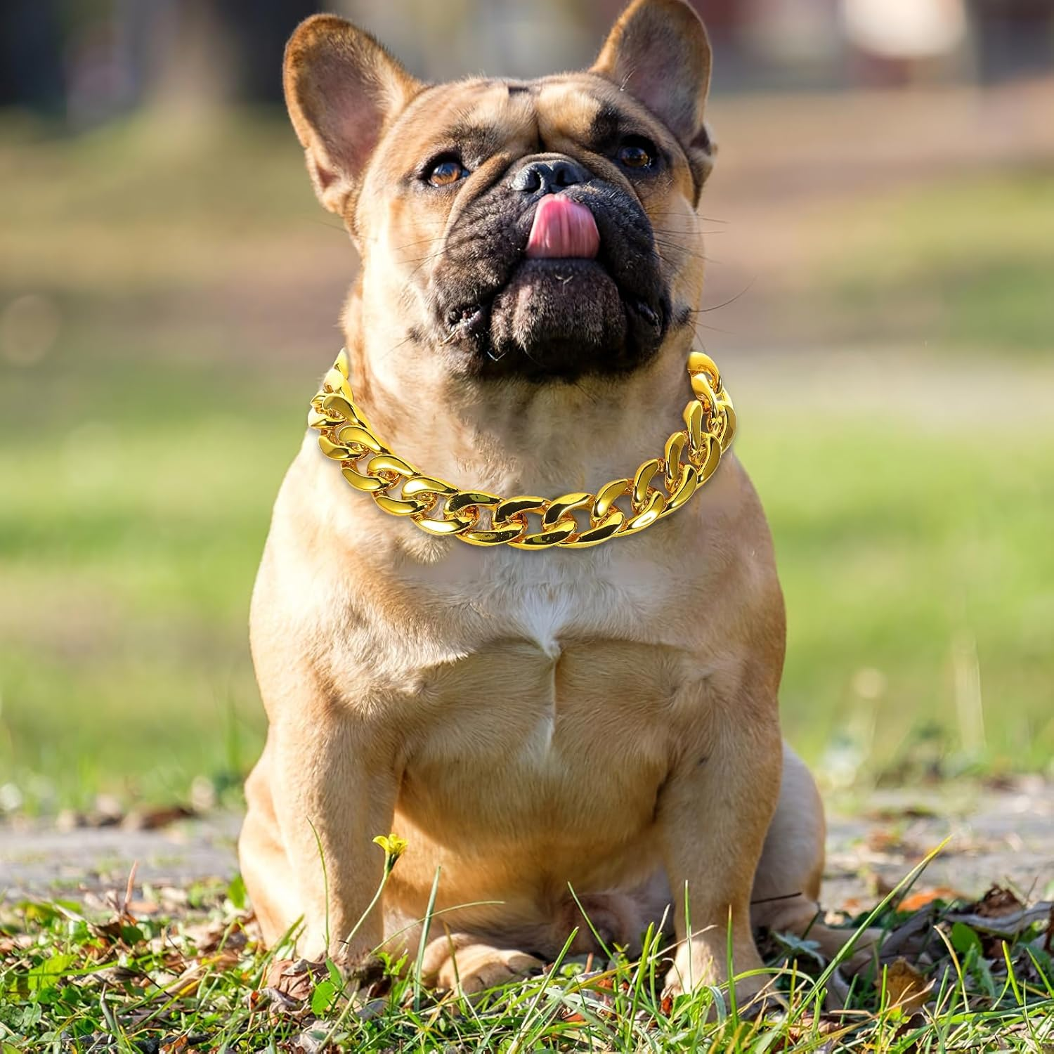 INOOMP Gold Dog Chain Collar Stainless Steel Gold Chain Pet Jewelry Necklace Pet Pendant for Small Dogs Cats Pets image number 3