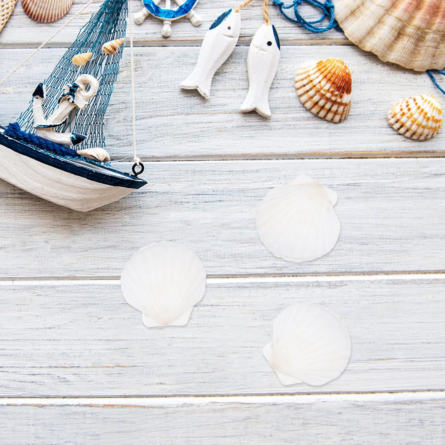 NOLITOY 40 Pcs Natural Shell Decoration Ocean Ornaments Sea Shell Christmas Ornaments Nautical Party Favors Desk Topper Scallop White Decorations Seashells for Crafts Bead Large Seaside image number 1