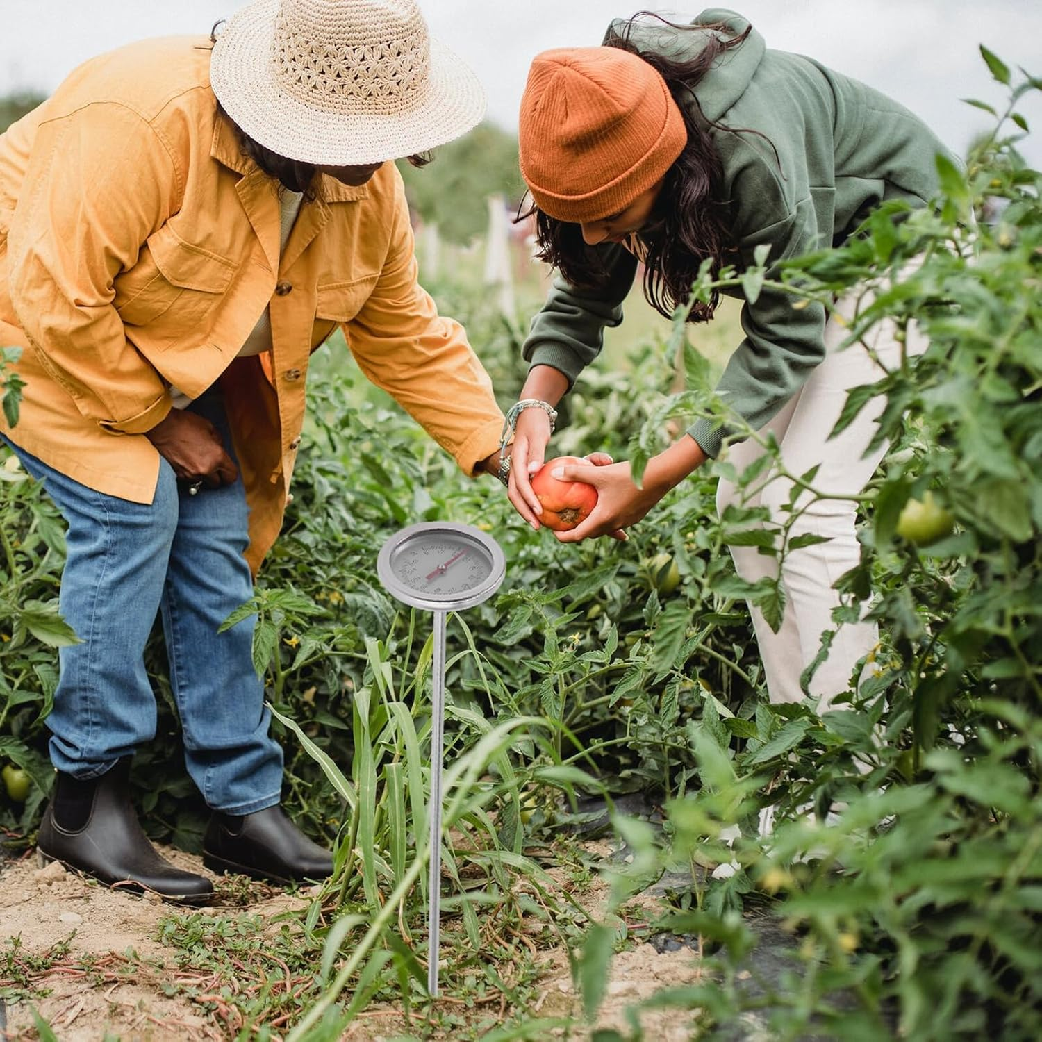 TEHAUX Stainless Steel Soil Thermometer Gardening Accessory Compost Temperature Detector for Precise Garden and Plant Moisture Measurement image number 3