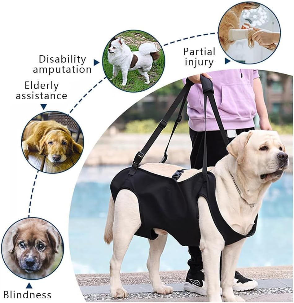 Dog Rehabilitation Training Belt, Breathable Straps - Adjustable Soft Support Sling, Helps with Surgery Recovery, Arthritis, Joint Injuries, Loss of Stability, Injured and Disabled Dogs