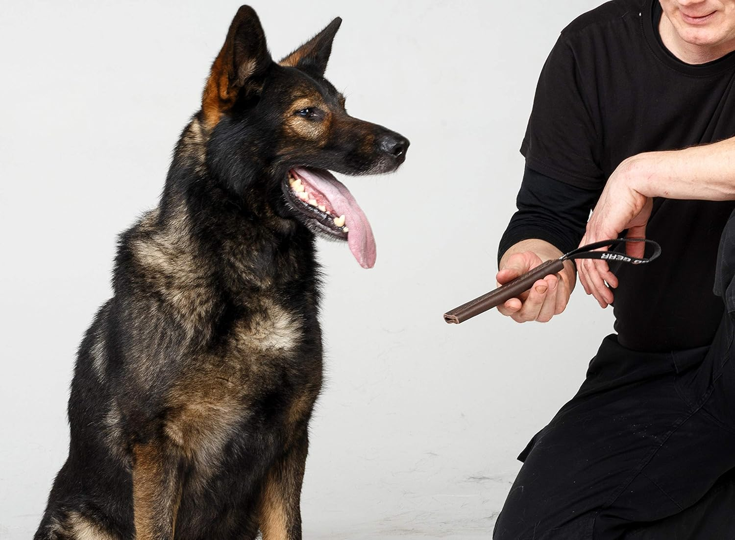 Dingo Gear Dog Bite Tug Handmade of Brown Grain Leather, Strong Tug for Bite Training K9 IPO Agility and Just Fun S00230 image number 3