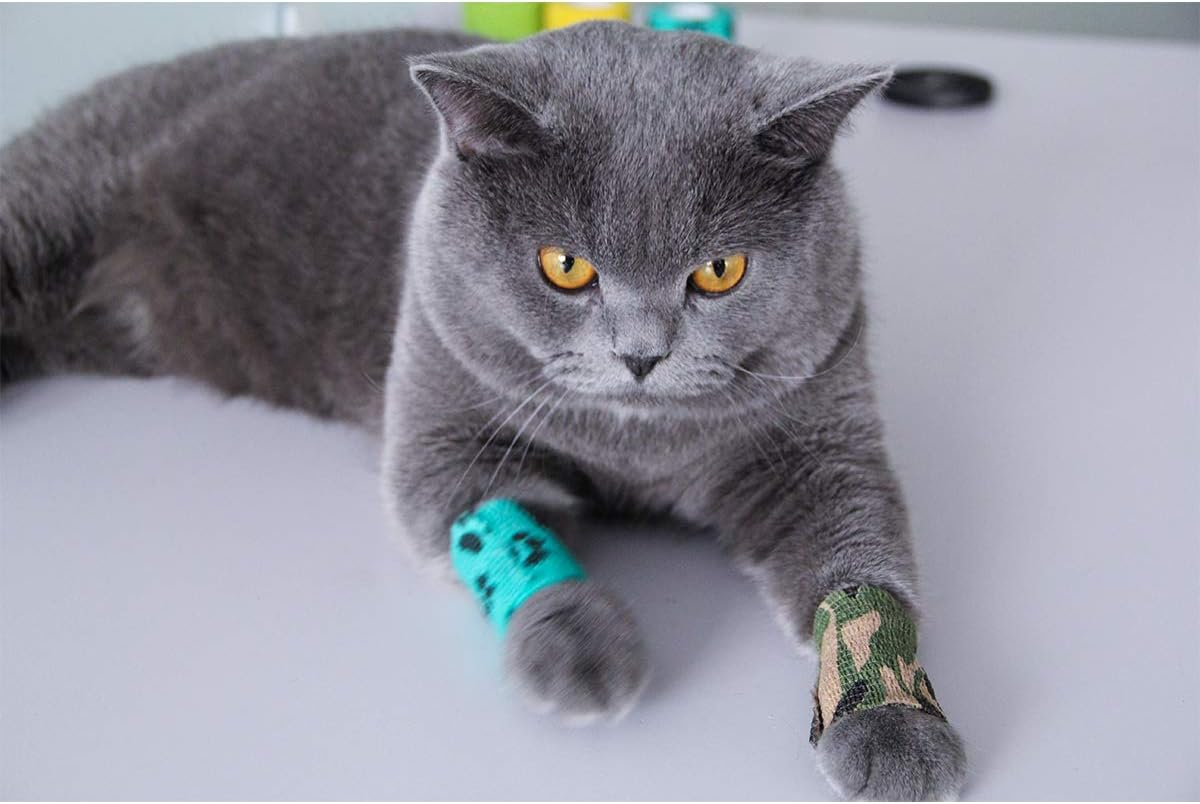 AUPCON Self Adhesive Bandage Wrap Vet Wrap Cohesive Bandages Bulk Dogs Self Adherent Wrap Non-Woven for Pet Animals & Ankle Sprains & Swelling image number 6