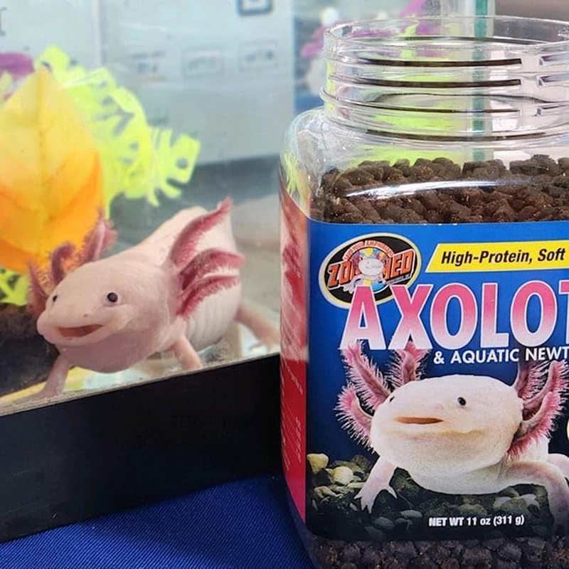 Zoo Med Axolotl & Aquatic Newt Food, 2 Oz. image number 1