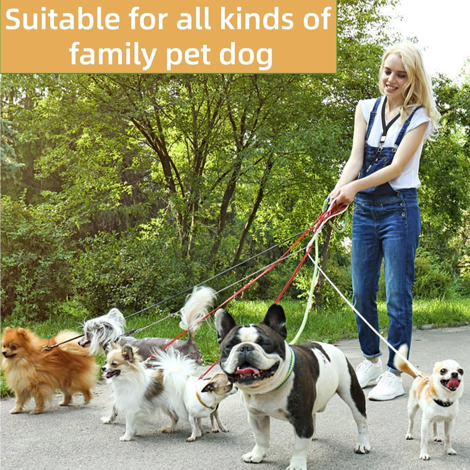 Yharnamite 2 Pcs Dog Whistles Ultrasonic Professional Training Whistles with Lanyard, Adjustable Ultrasonic Silent Dog Whistles, Recall Pet Training Whistles for Dog Training and Behavior Aid (A) - B image number 3