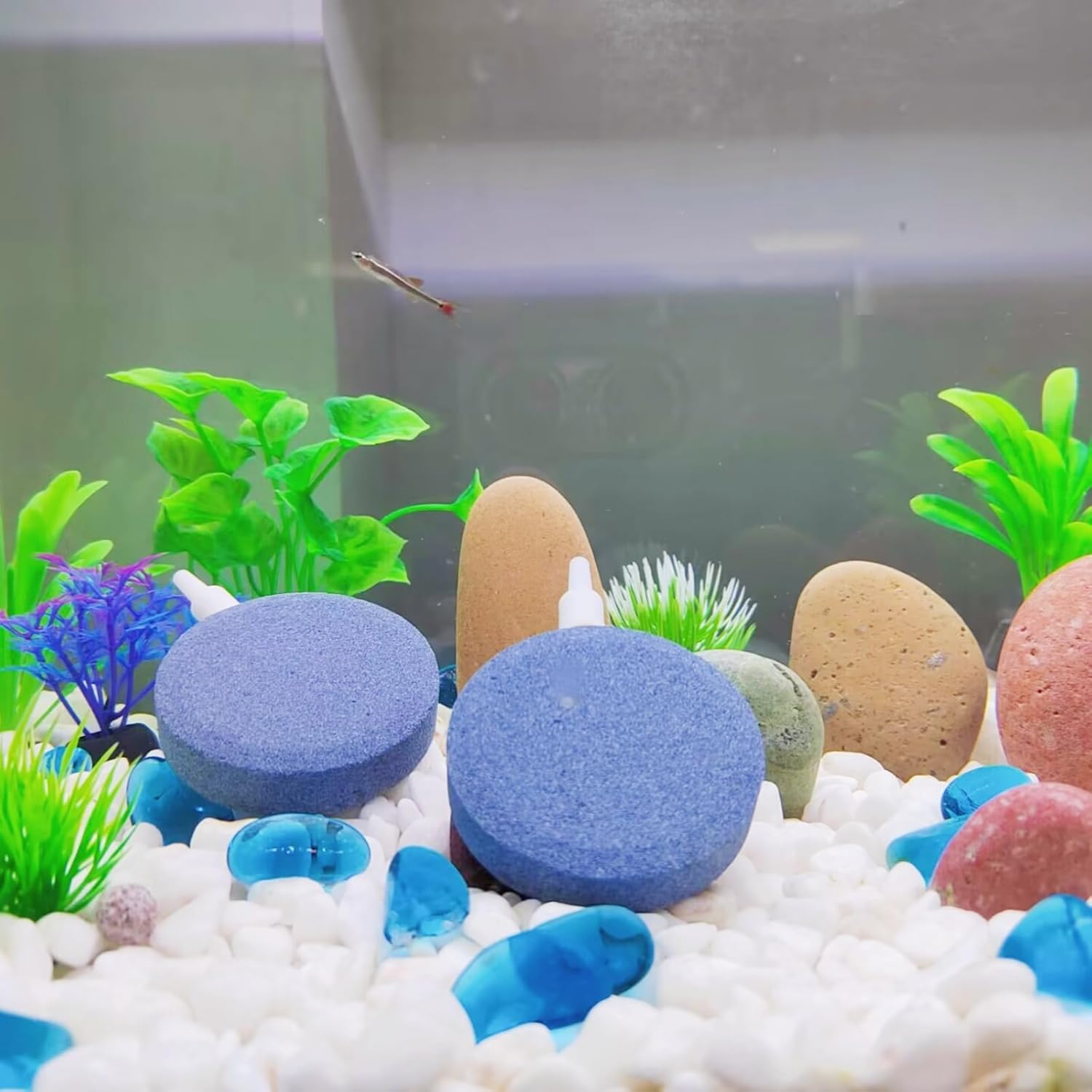 AQUANEAT 1.5 Inch Air Stone Disc, 4 Packs, Aerator Bubble Diffuser, Air Pump Accessories for Hydroponics, Aquarium Fish Tank, Ponds, DWC Reservoirs and Circulation System image number 4