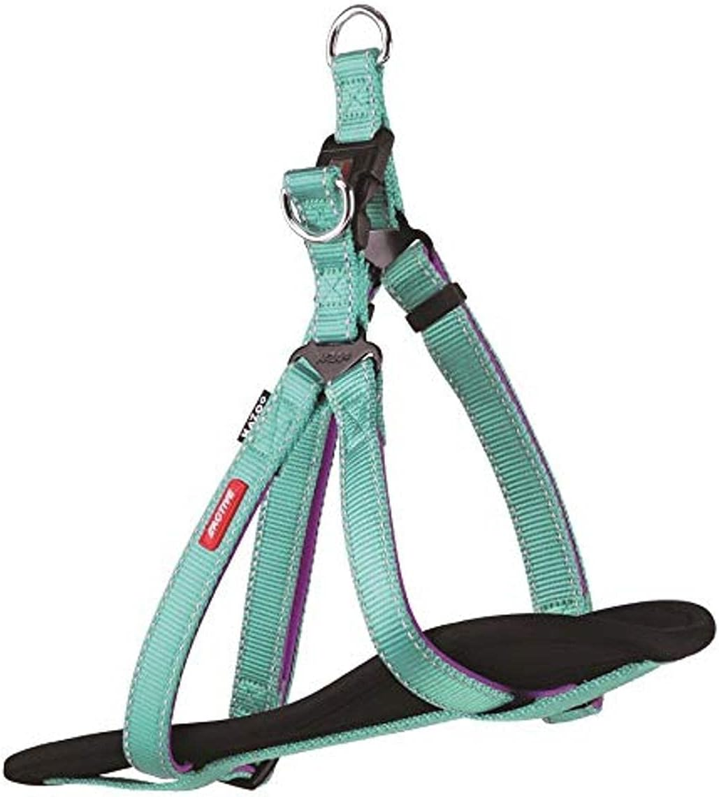 Kazoo KZ11456 Active DD Nylon Walking Harness, Small, Aqua/Purple image number 1