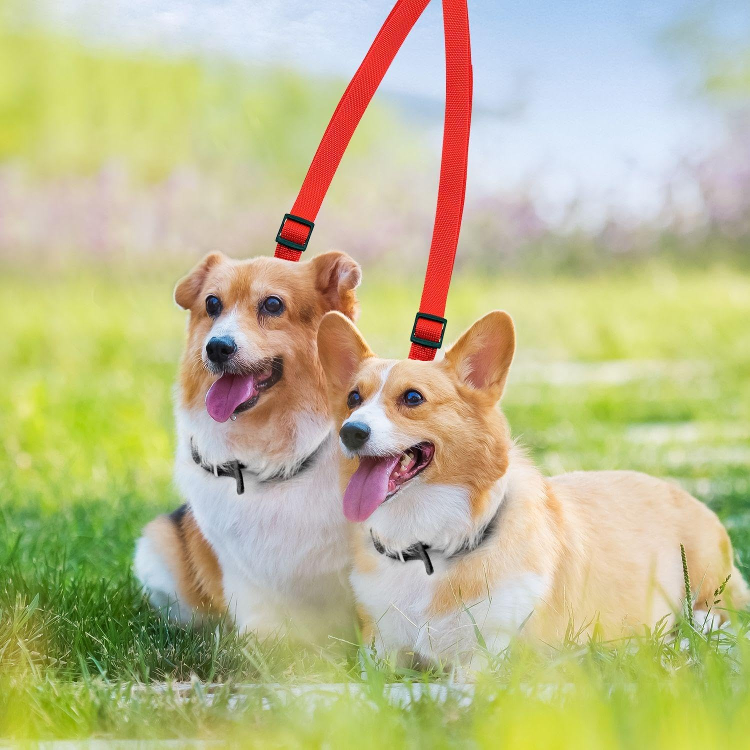 KSBBHDS 2 Pieces Double Wire Lead, Adjustable Lead, Pet Training, Dog Ice Supplies (Black, Red) image number 4