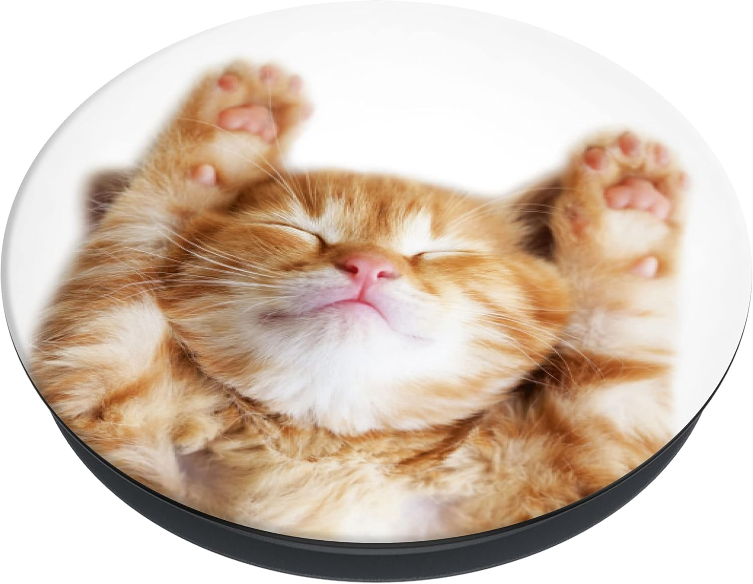 Popsockets Popgrip Extendable Holder and Grip for Smartphones and Tablets Finger Holder Basic Snoozy Cat