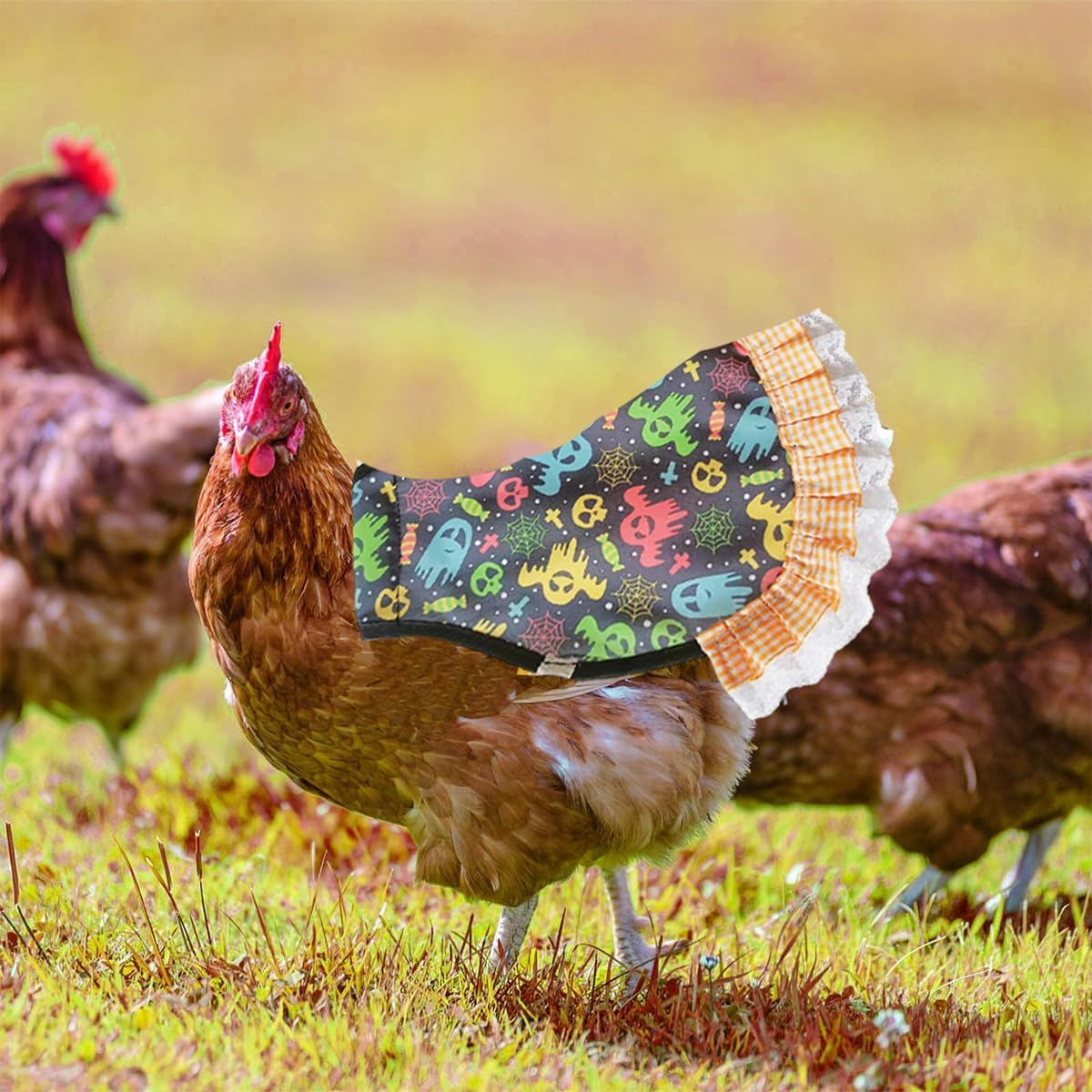 AIMALL Halloween Chicken Saddle Apron Hen Feather Guard with Lace Trim, Adjustable Poultry Back Protector for Feather Loss Recovery, 9.05X8.6In image number 2