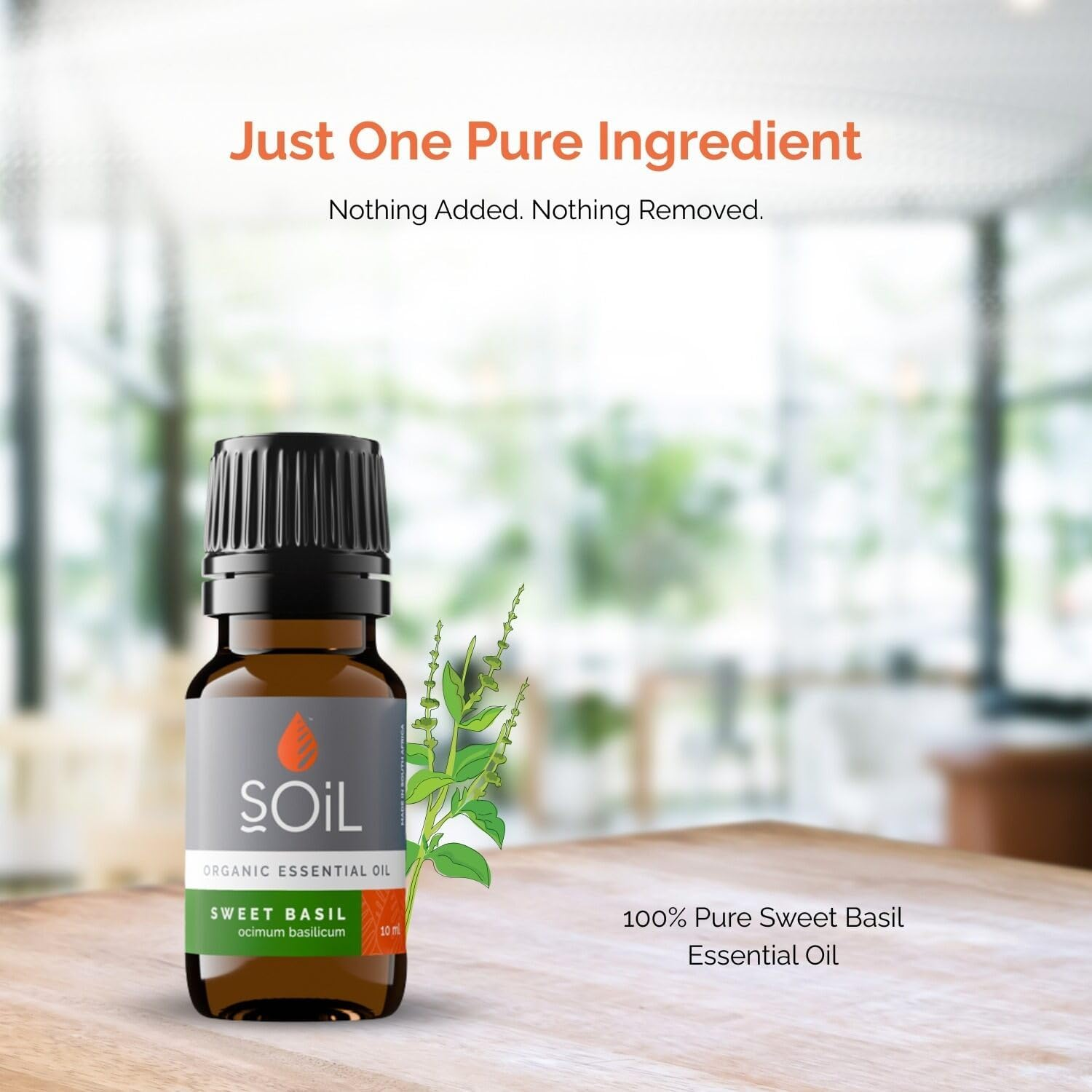 Soil Organic Basil Essential Oil, Essential Oil Diffuser, Versatile Applications, No Animal Testing, Parabens, Petro-Chemicals, Synthetic Colours, or Synthetic Fragrances, ECOCERT Certified, 10Ml image number 6