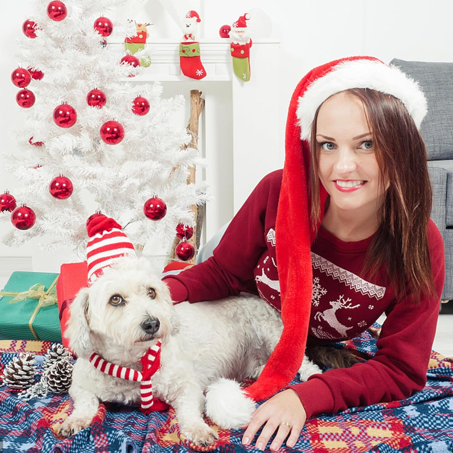 Nizirioo Plush Dog Toy, Dog Birthday Toy, Soft Plush Dog Toy, Puppy Dog Cake Toys, Dog Bone Toys, for Puppies, Small (Cake and Bones) image number 3