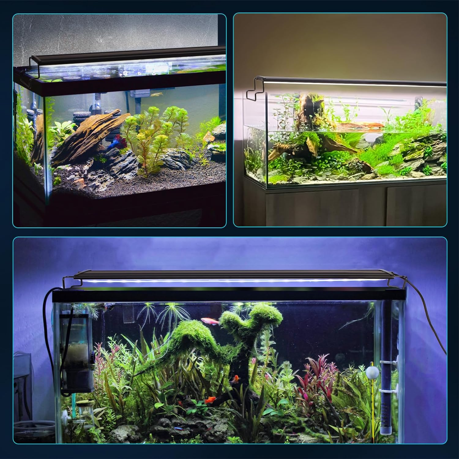 Aquarium Light, Full Spectrum Fish Tank Light with Timer Daylight Moonlight Mode, Alu Alloy Shell Extendable Brackets Fish Lamp for Freshwater Planted Tank (9W (30-50CM)) image number 2