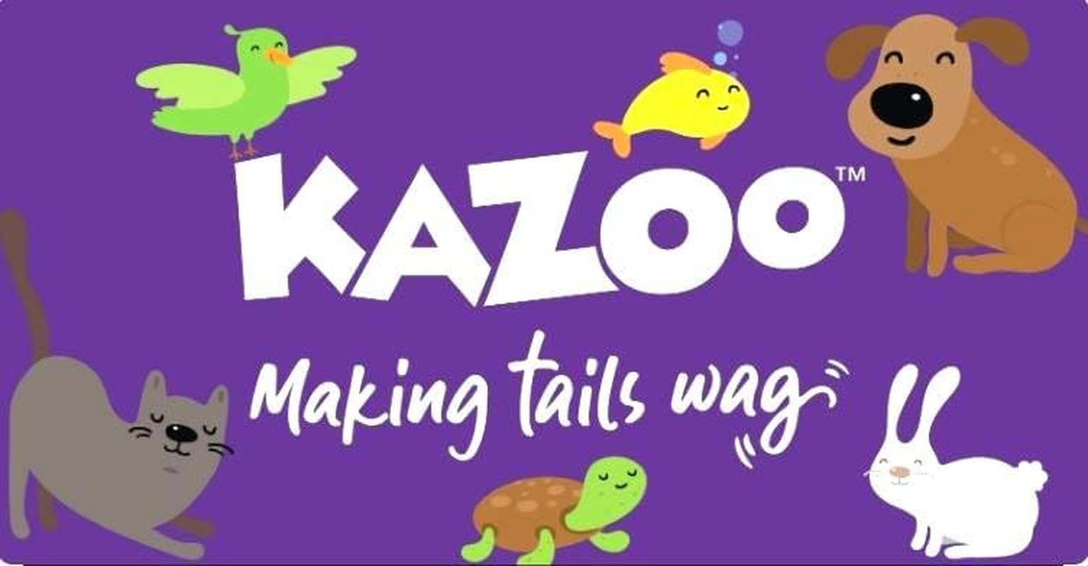 Kazoo Bonsai Plant, Large