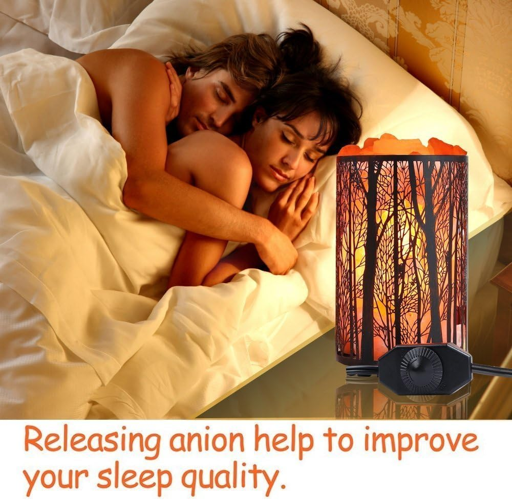 Himalayan Salt Lamp, Salt Rock Lamp Natural Night Light in Forest Design Metal Basket with Dimmer Switch, 25Watt Bulbs & ETL Cord