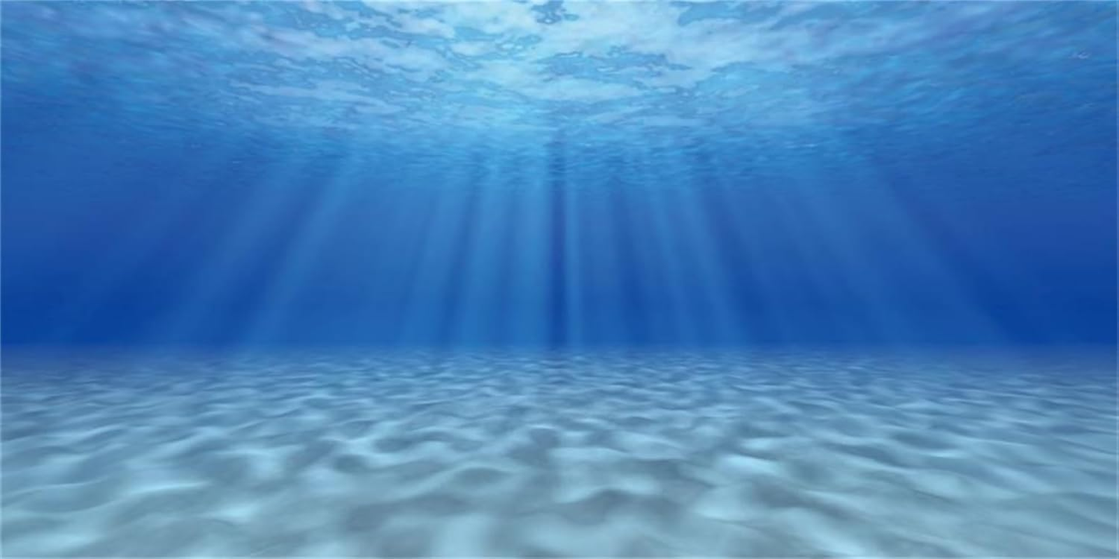 MIRRORANG 120 X 50 Cm Rock Aquarium Background Rocky Fish Tank Background Rock Terrarium Background Vinyl