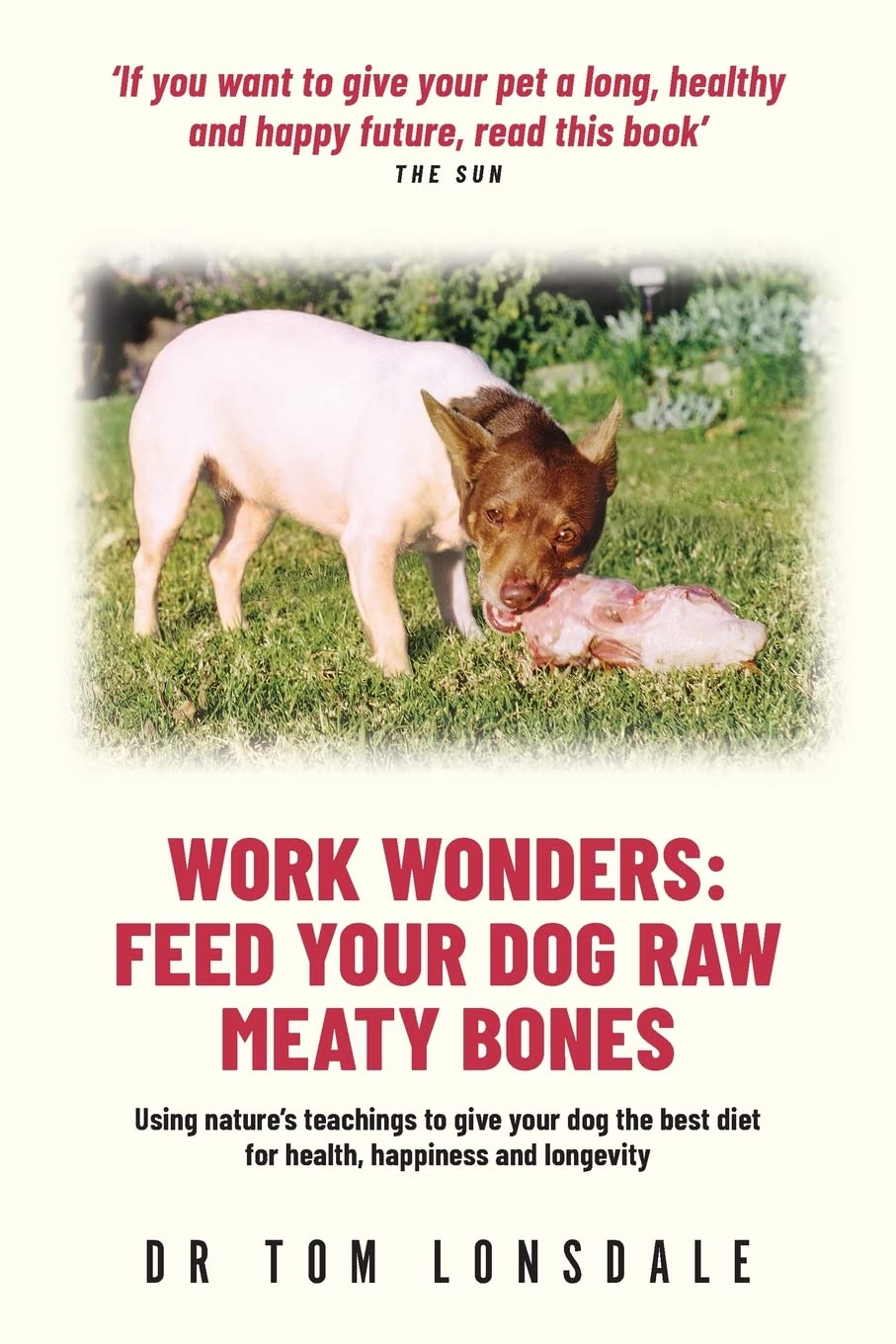 Work Wonders: Feed Your Dog Raw Meaty Bones image number 1