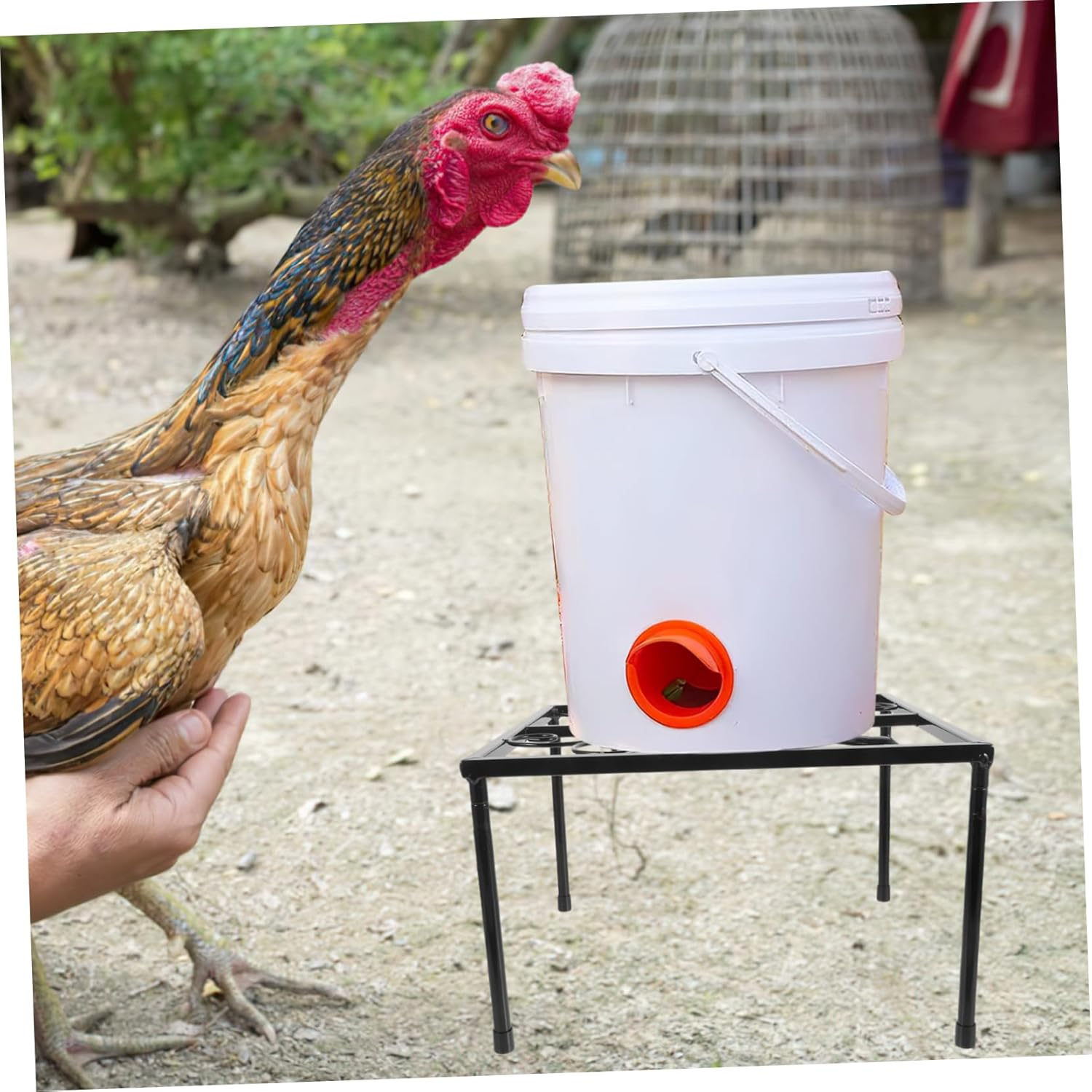 VANZACK Chicken Water Feeder Holder Chicken Feeder Holder Coop Feeder Holder Metal Feeder Stand Waterer Stand Metal Chicken Feeder Metal Stand for Waterer Metal Waterer Holder Iron image number 1