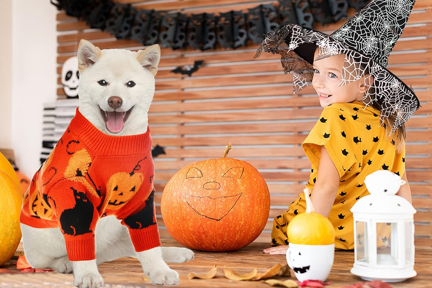 Cooshou Halloween Sweater Costume for Dogs Cat Pumpkin Knitwear Clothes Costume with Pumpkin Kitten Pattern Dog Halloween Sweater Coat for Kittens Small Dogs Cats XL image number 3