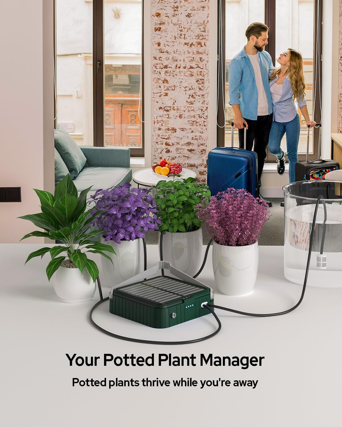 Solar Irrigation System for Garden Watering System, Latest Automatic Drip Irrigation Kits for Potted Plants, Supported Automatic Watering System for Balcony Outdoor, Plant Bed and Green House image number 1