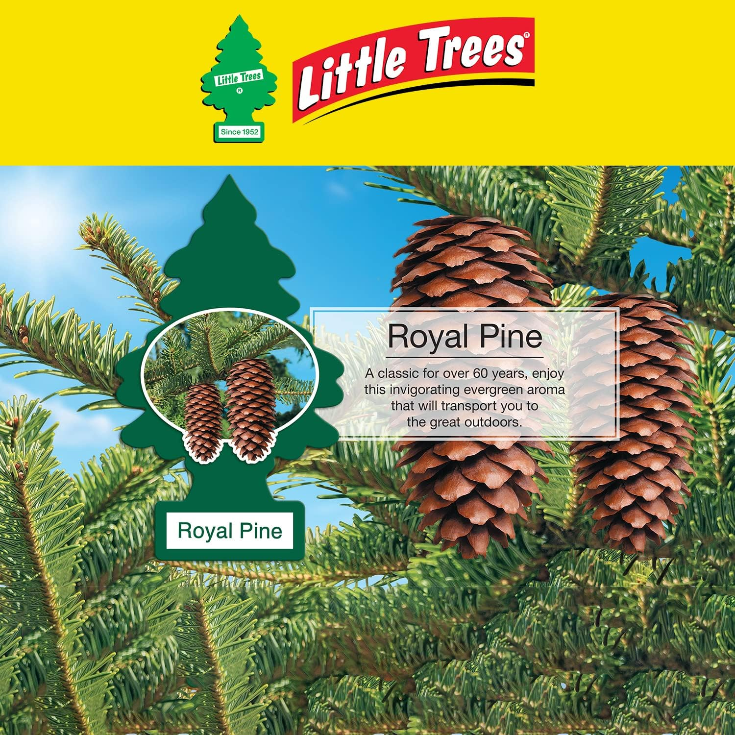 Little Trees Royal Pine Air Freshener image number 3