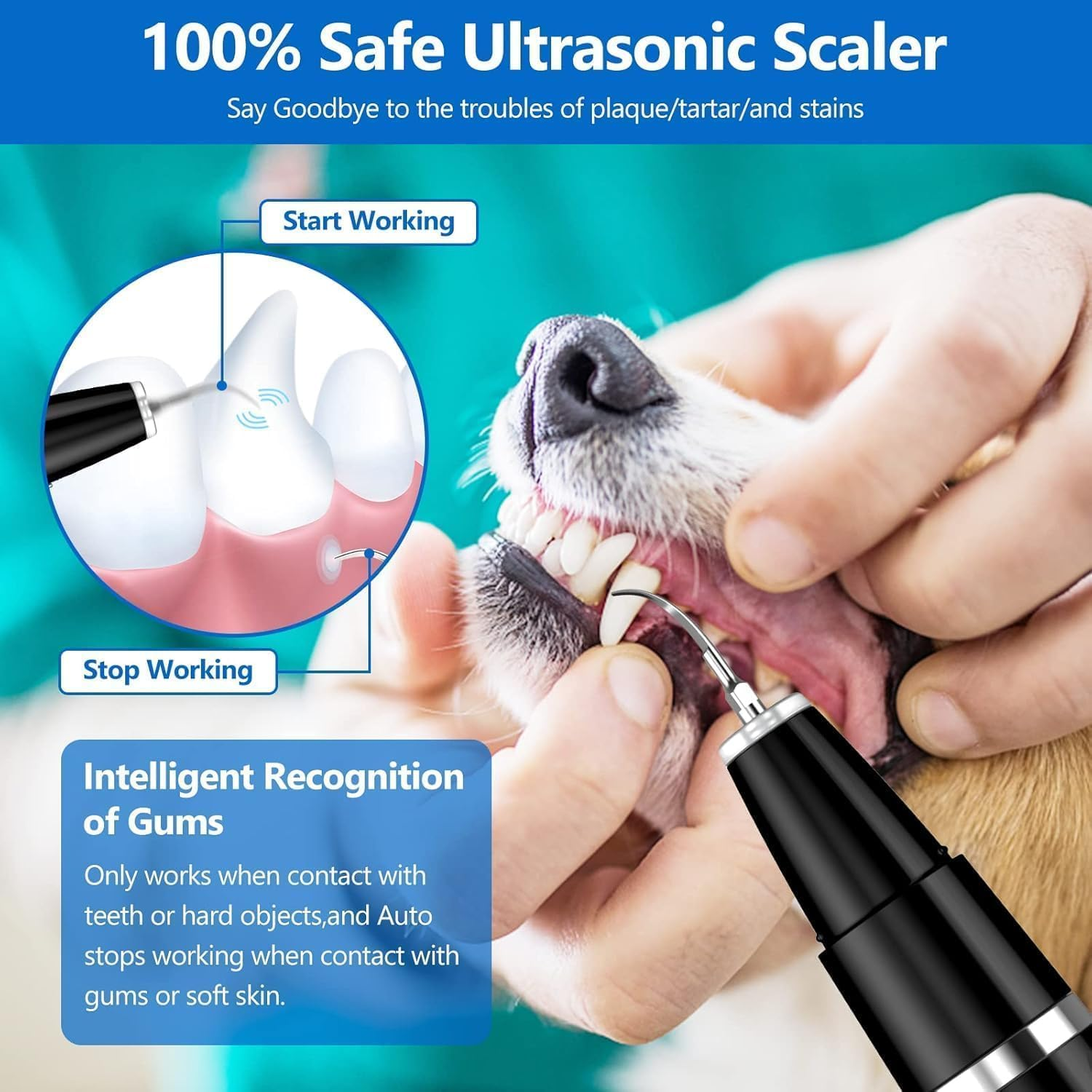 WORLDTREE Pet Ultrasonic Teeth Cleaner, Professional Dental Cleaning Kit for Dogs and Cats, Plaque and Tartar Remover (BLACK) image number 5