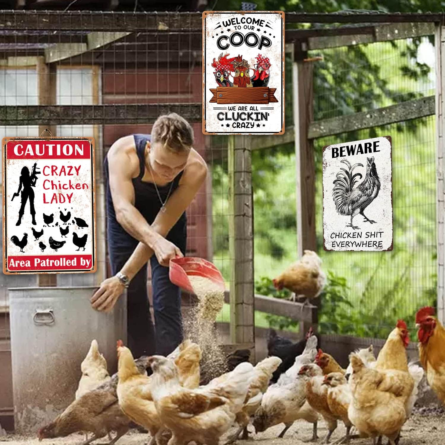 Chicken Coop Signs Welcome to Our Coop We Are All Cluckin Crazy Sign Chicken Signs for Coop Funny Outdoor Chicken Home Decor Chicken Stuff for Coop Metal Sign Chicken Coop Farm Tin Sign 8X12 Inch&hellip; image number 1